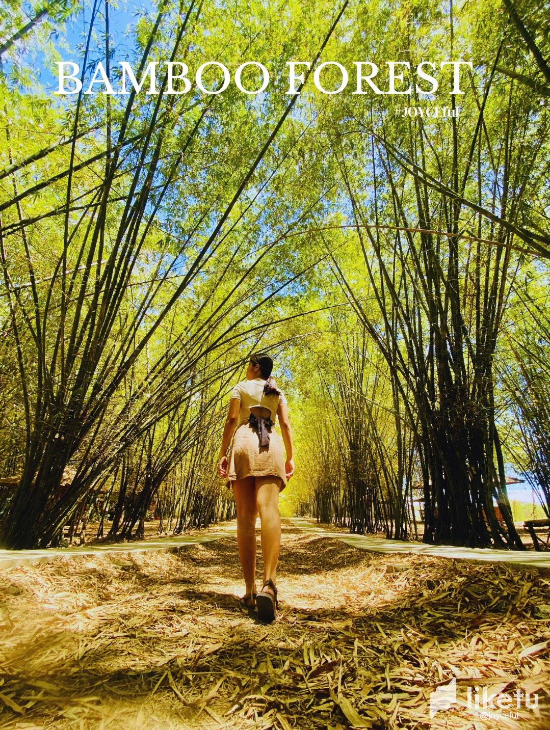 clmukz5nq03gk3gszelylgjms_liketu_post_bamboo_trees_-_2.png