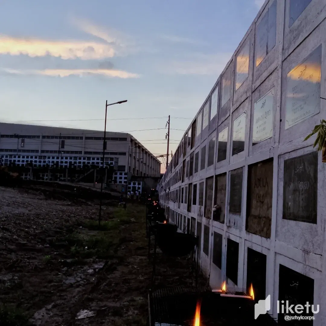 pjsQoXikTCJ2bXEP_IMG_20241026_225129_708.webp