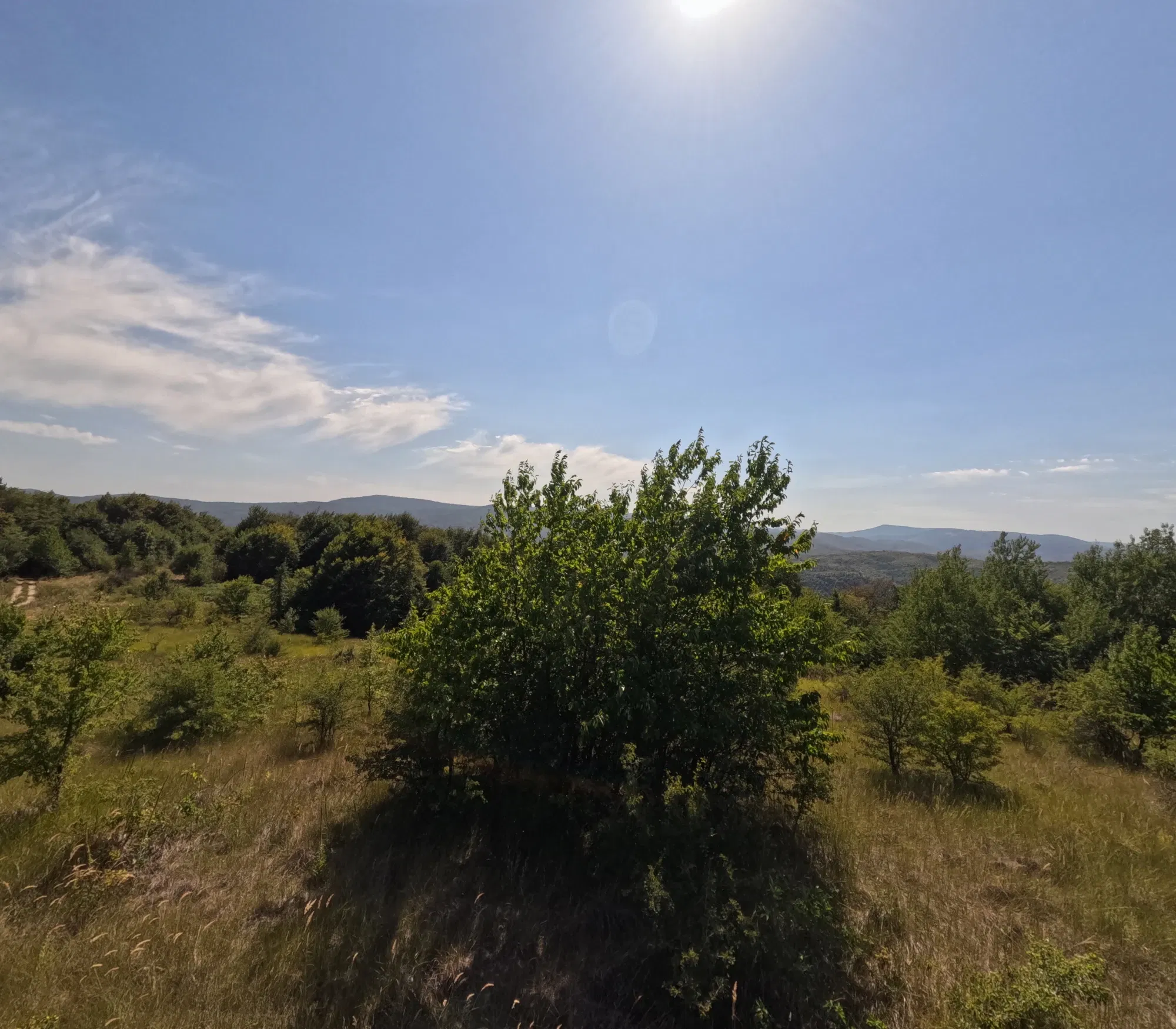 0LEgcZvYW7pSo4lL_GOPR1458.webp