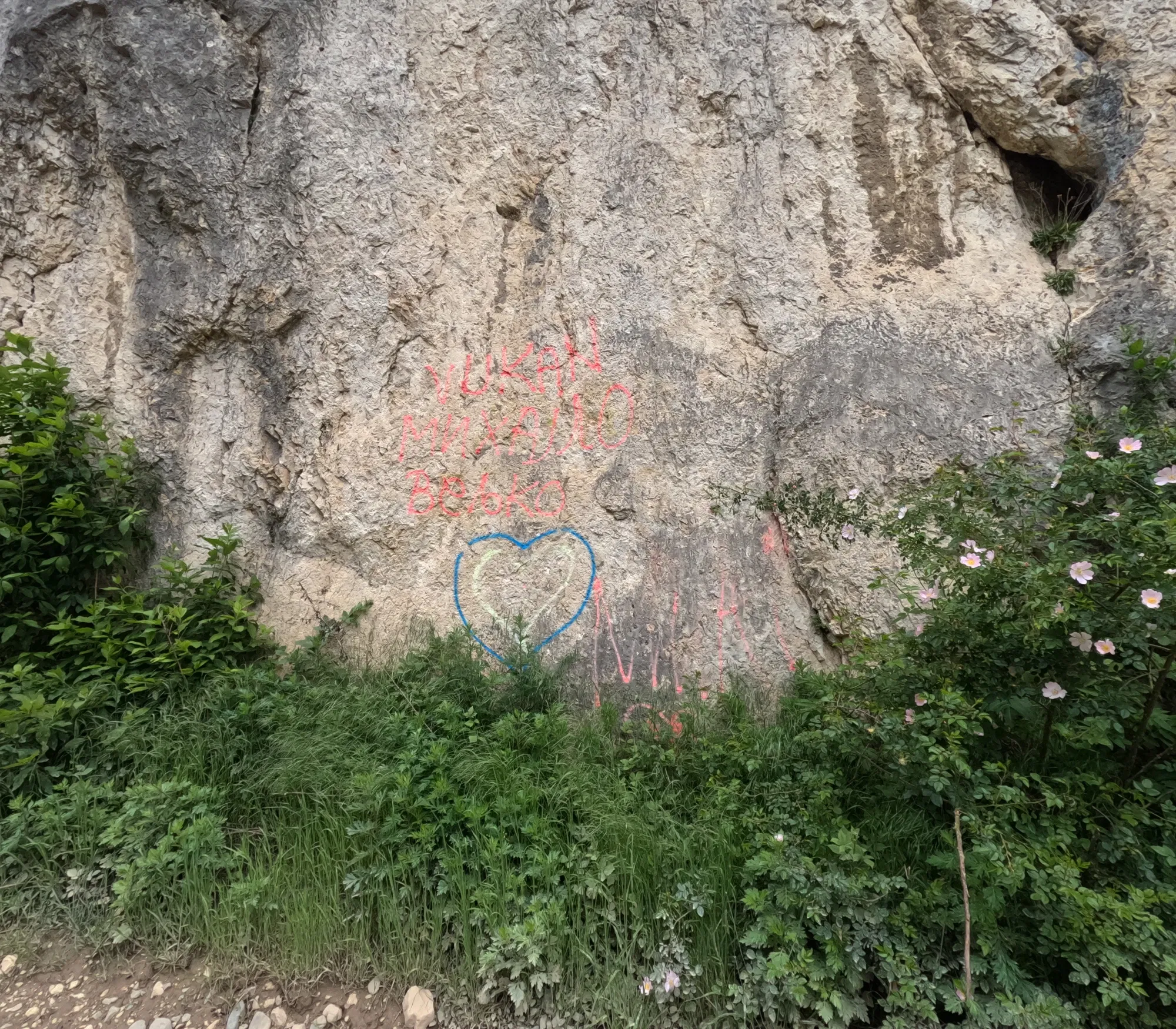 1PnBOOleOC3n8HWP_GOPR0890.webp