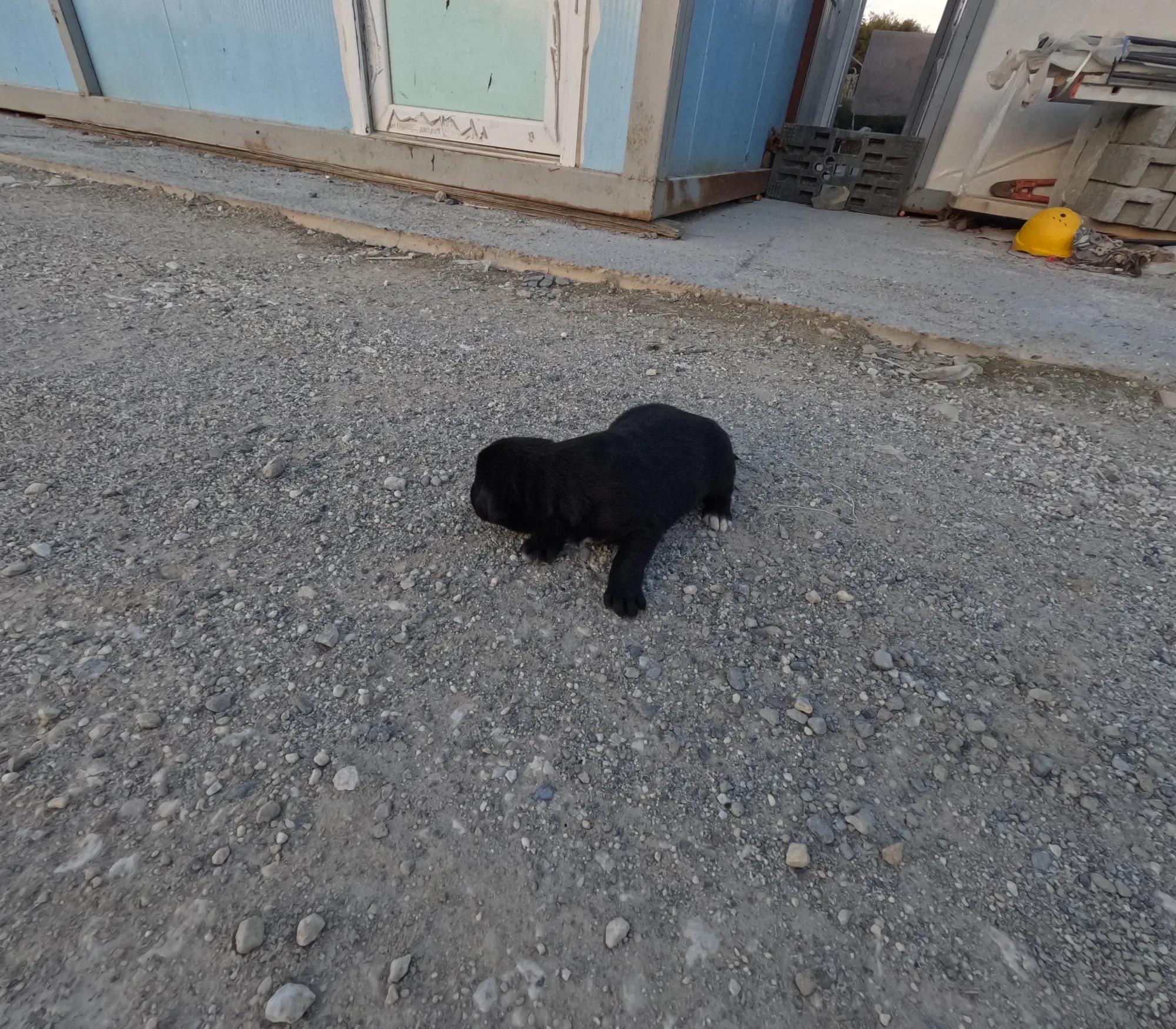 4nVelZV8DoULODM9_GOPR1546.webp