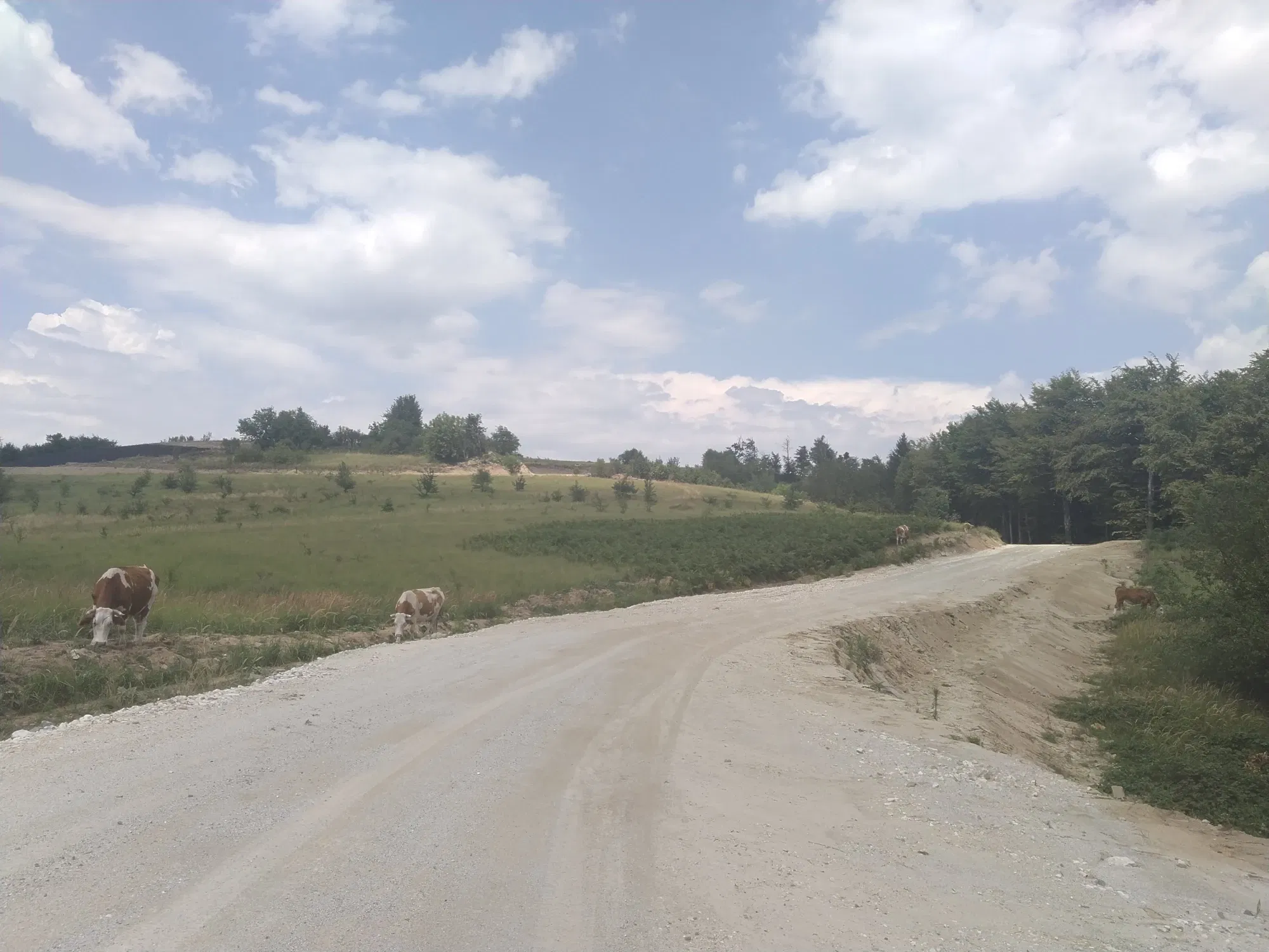 DO94NzN8SV1ovAkU_IMG_20250803_134800.webp