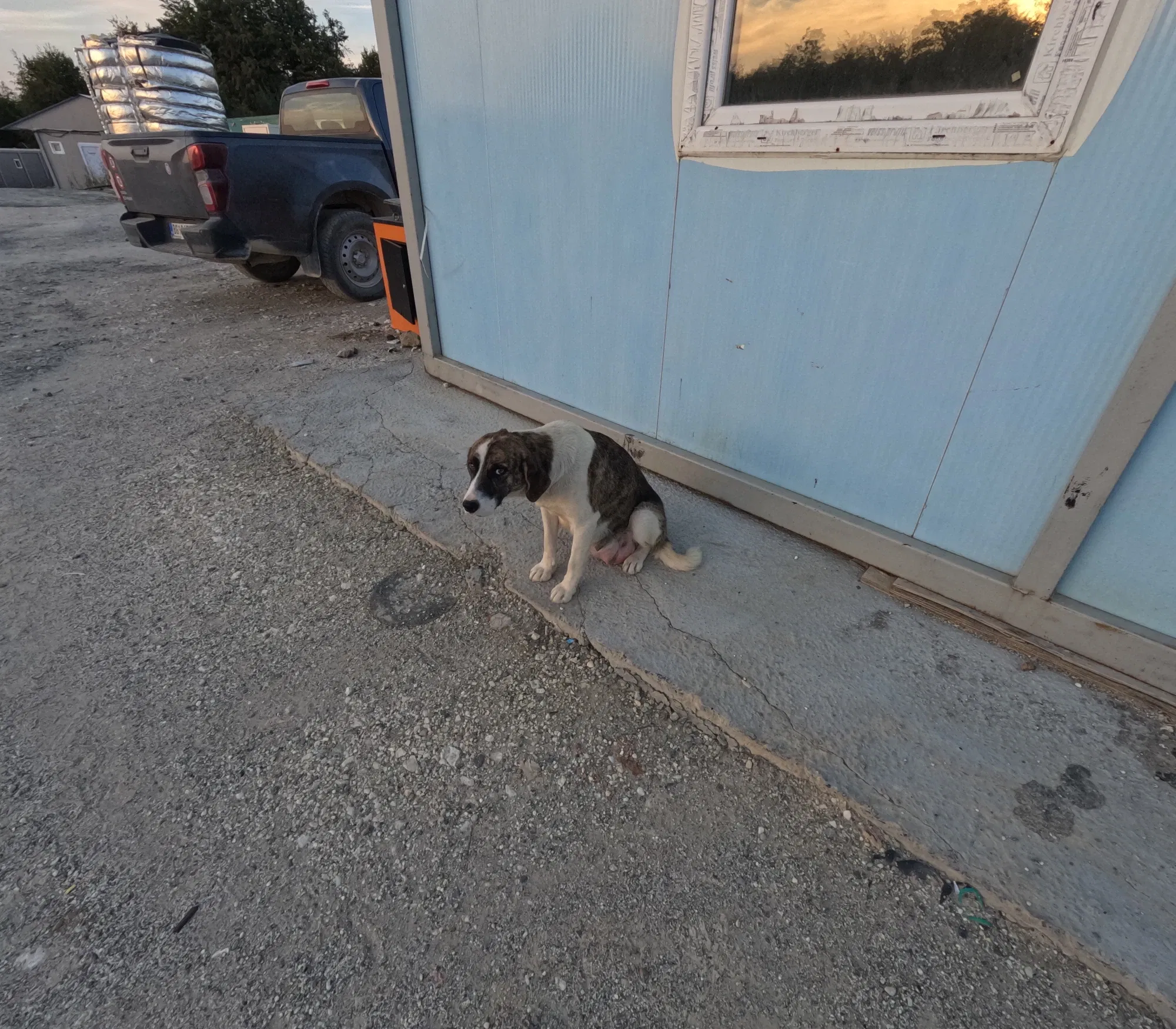 LVF1EN33VXZmwynm_GOPR1545.webp
