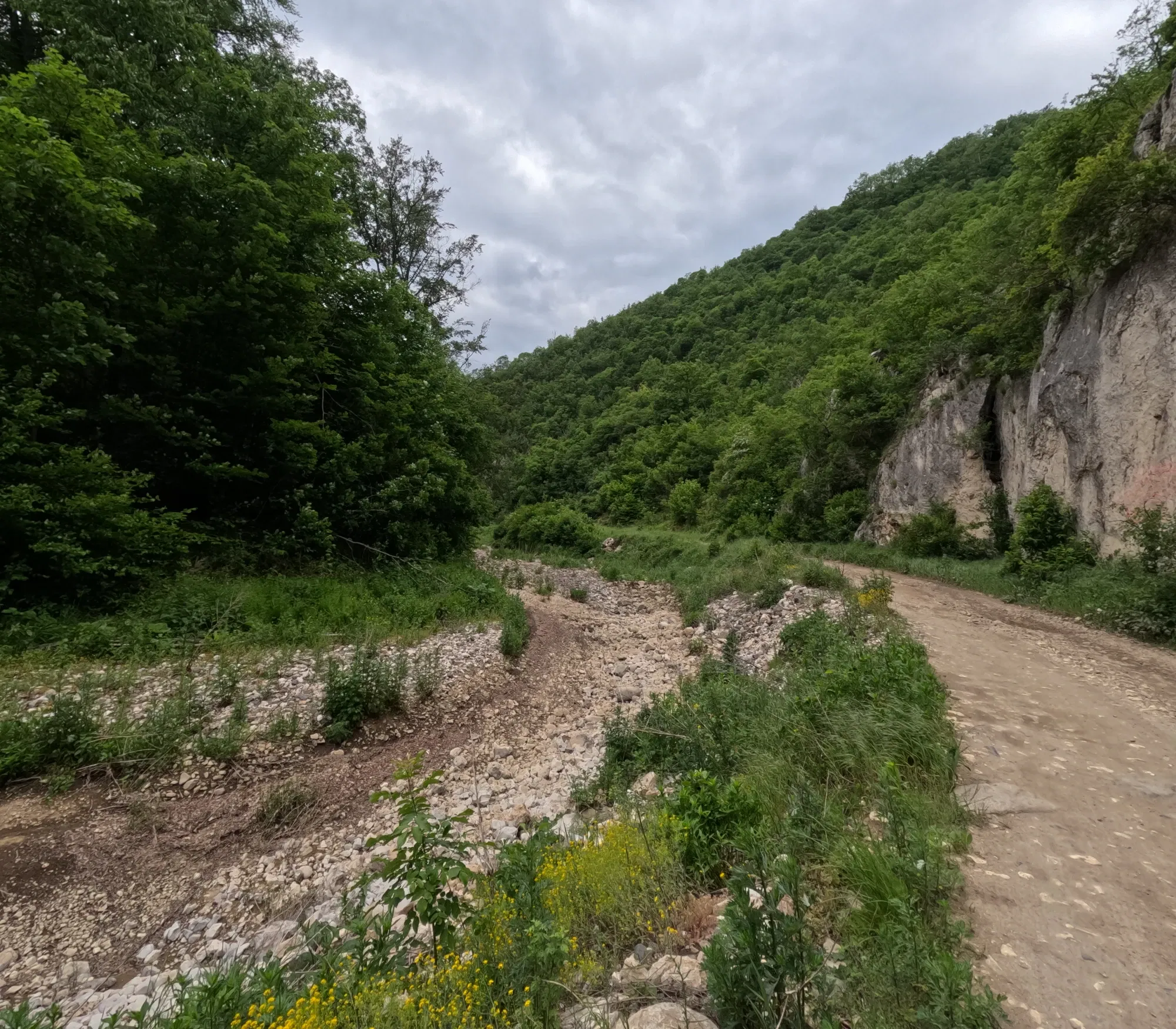 Lrusn4Wk3kRhfP7j_GOPR0889.webp