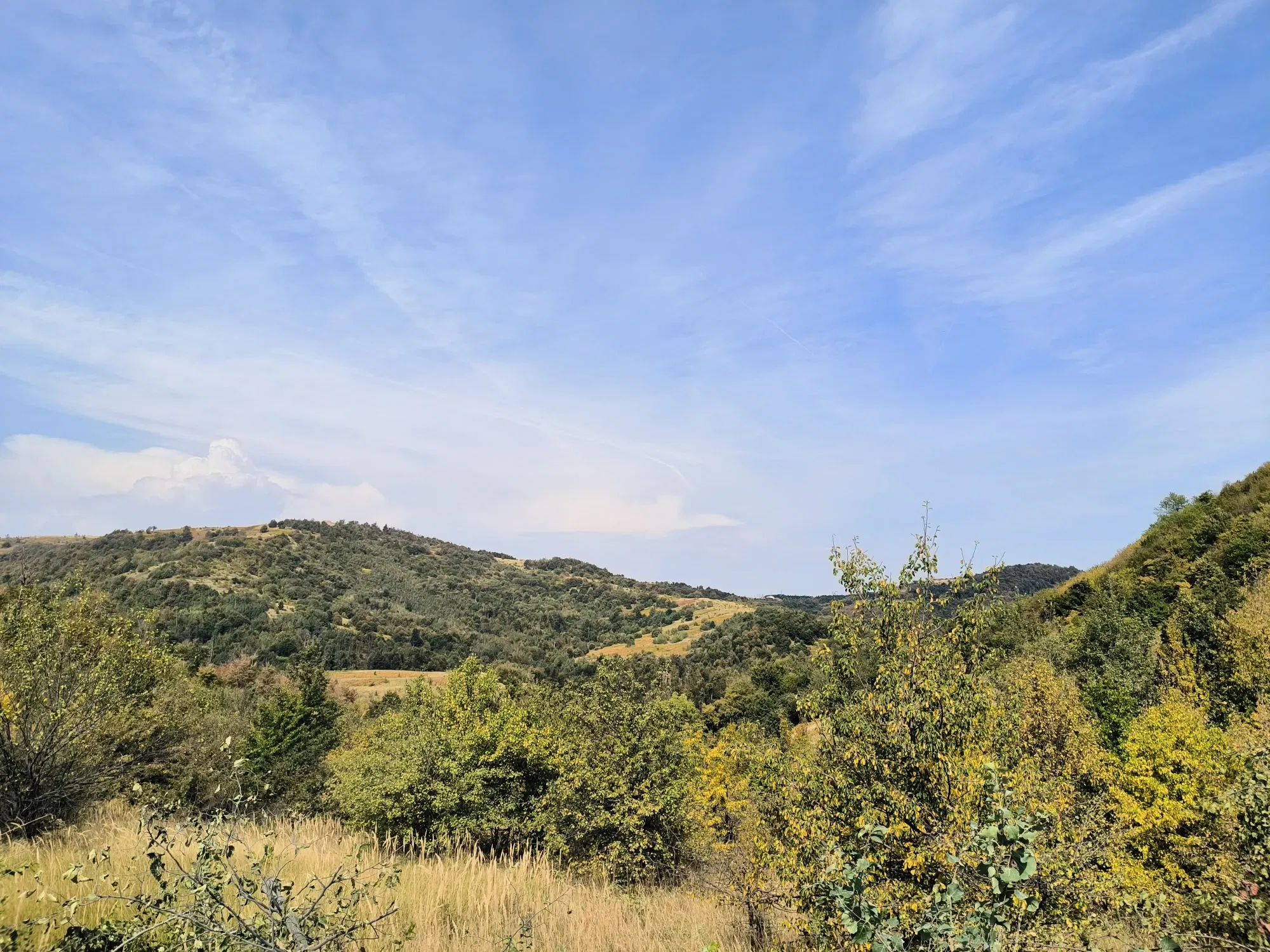 TYvIWLAJzlrmFkTY_20240818224314.webp