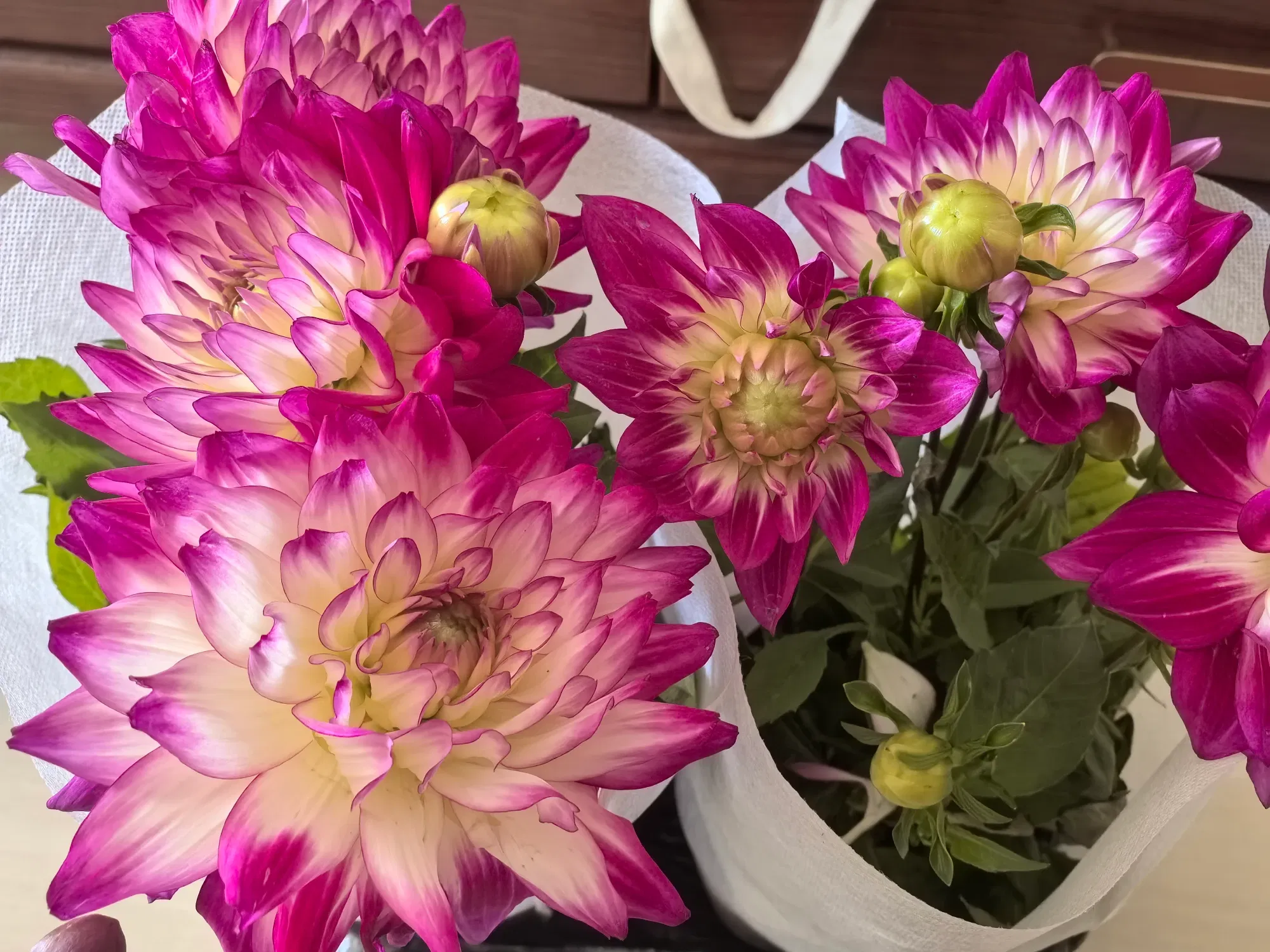 提前祝女神们节日快乐！