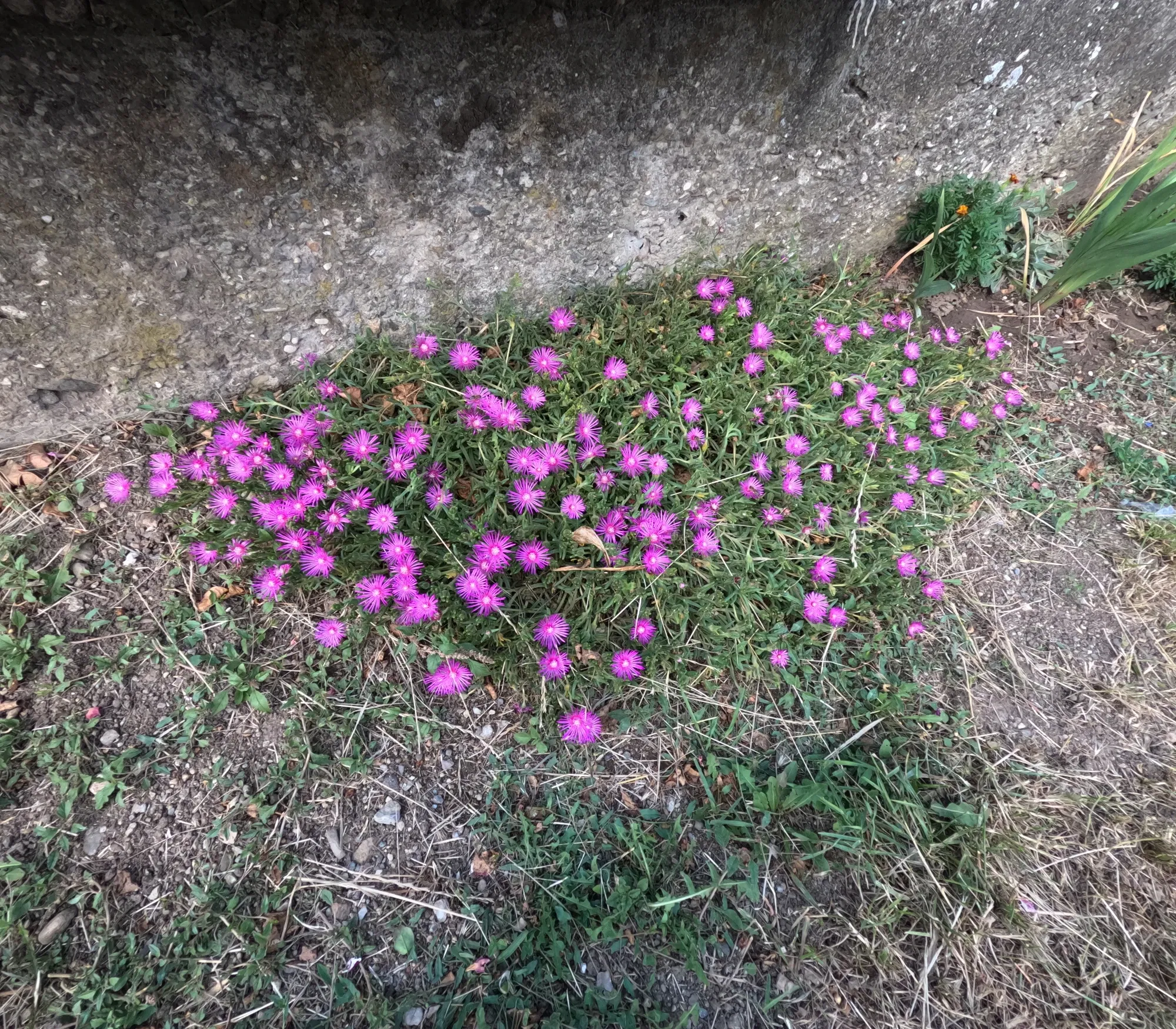 ZHsdirvtpNQ25uLg_GOPR1288.webp