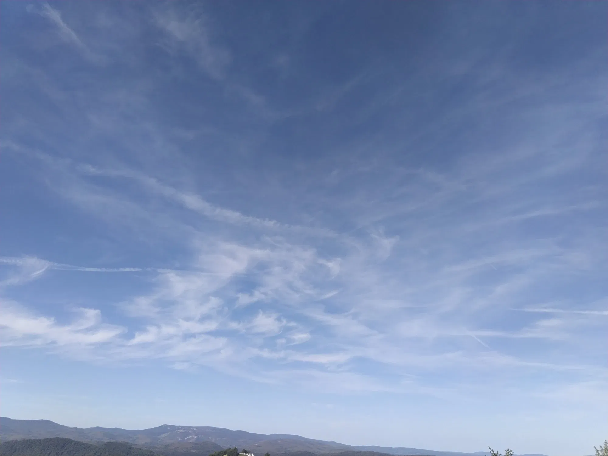 aIyJ4hulMWBz5NUV_IMG_20250826_090539.webp