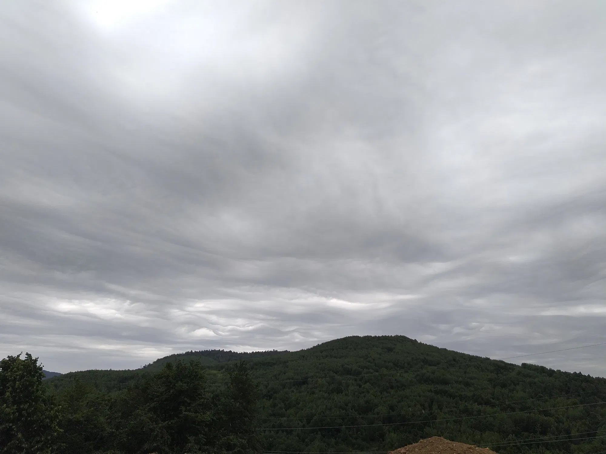 cHN9nopOe0sD6x2J_IMG_20250717_095657.webp