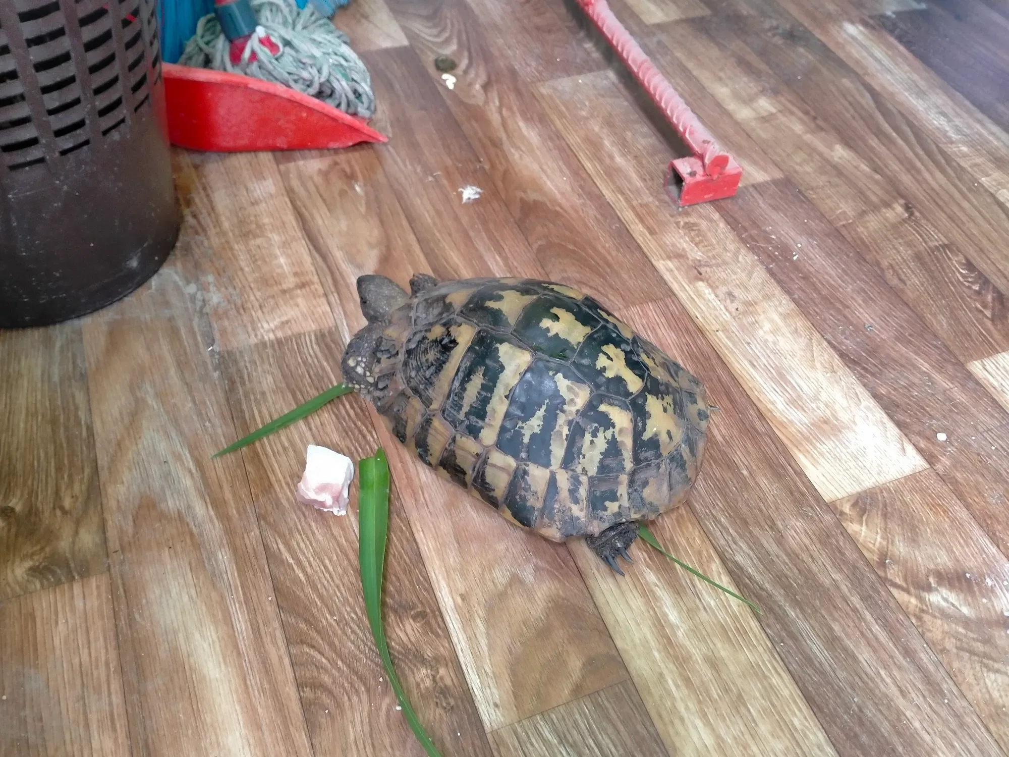 eXGnHdHMXxfDEU11_IMG20250522112242.webp