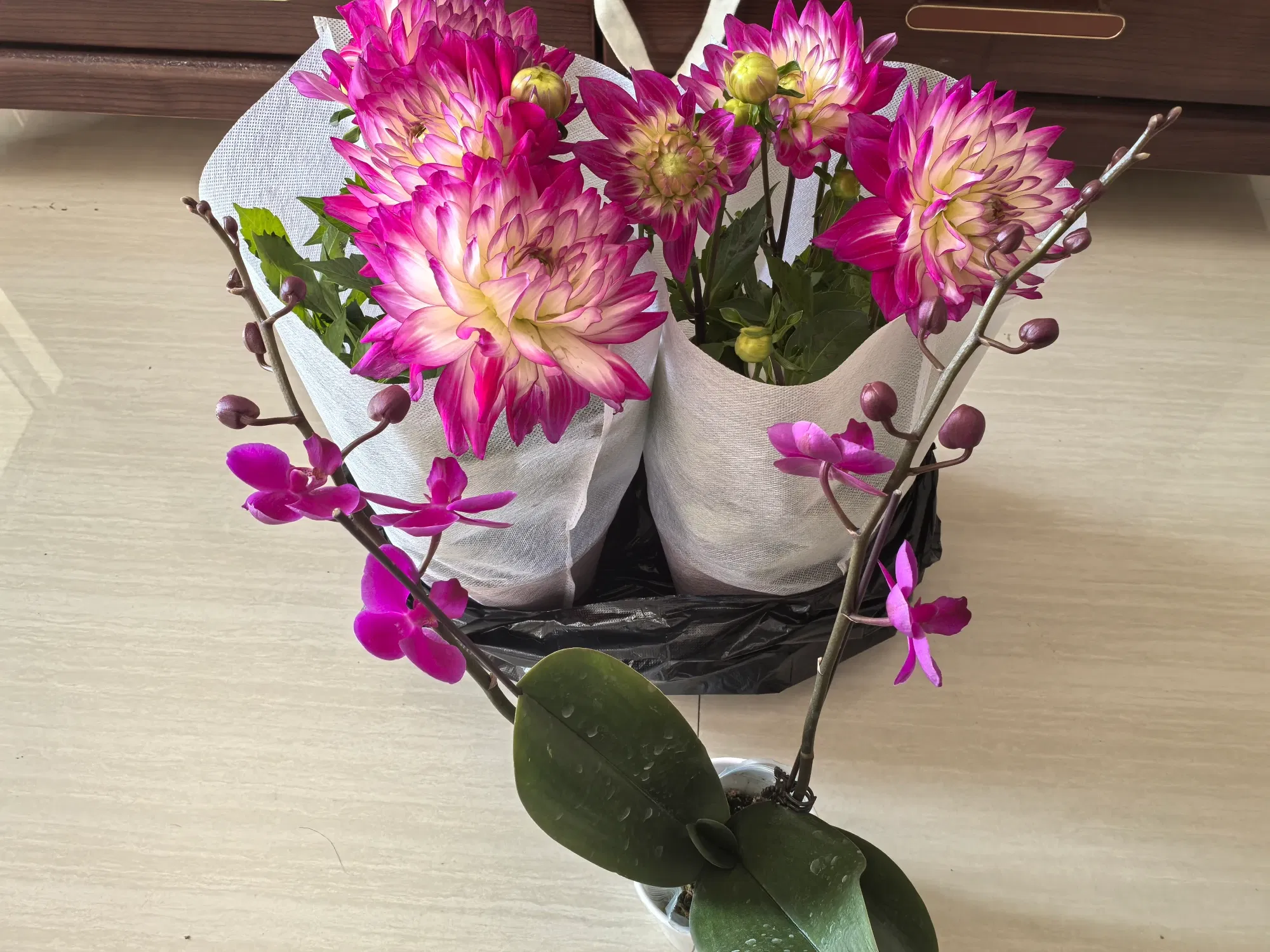 提前祝女神们节日快乐！