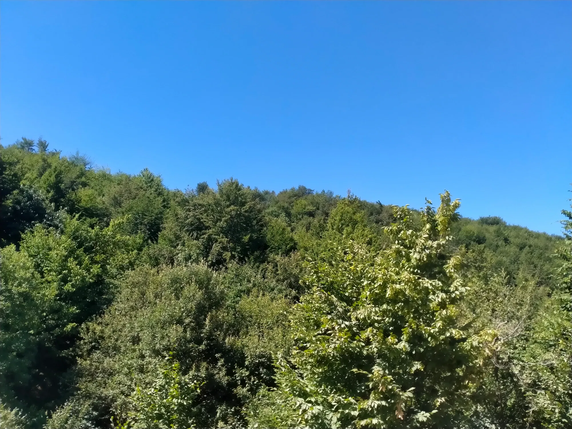 gMuNRZfAhmezOqc7_IMG20250702094903.webp