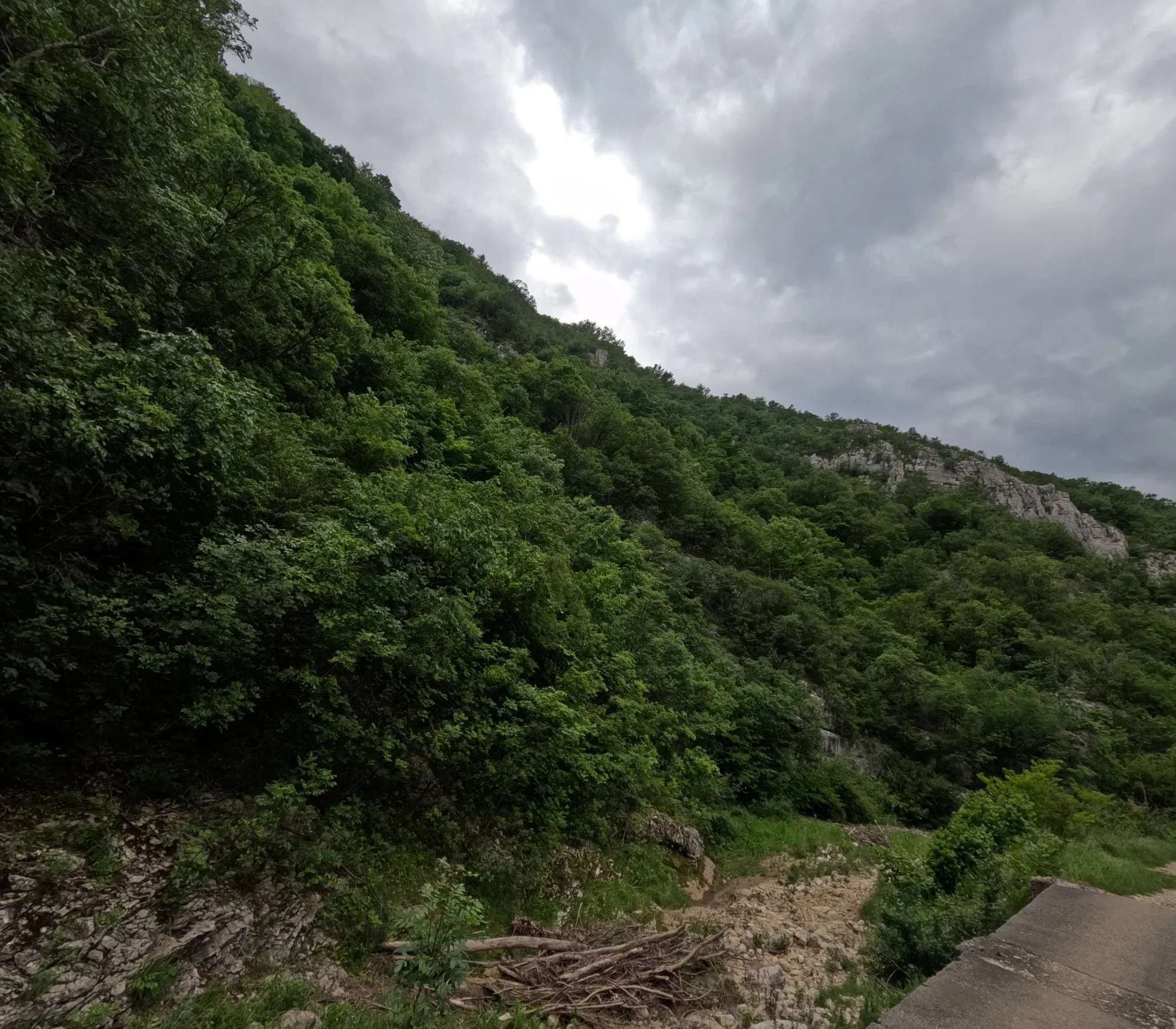 xYEXDD9BbqJVEShY_GOPR0884.webp