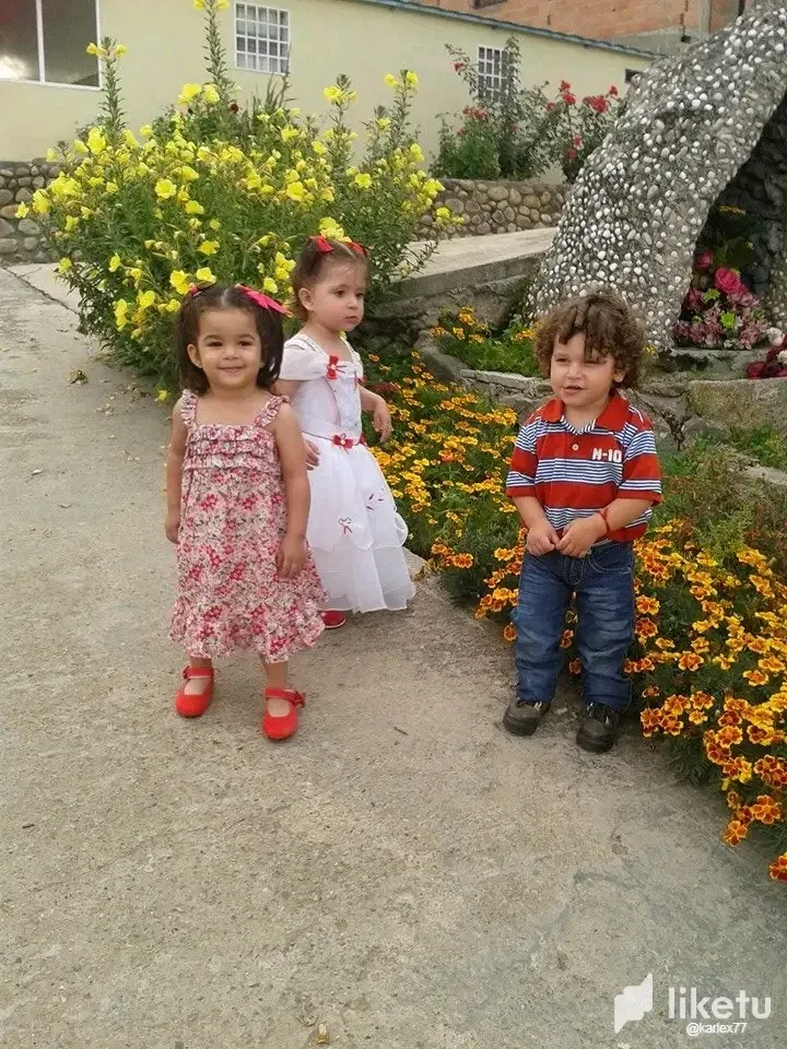 7udrsEAyswiv0cSt_1748372752397.webp