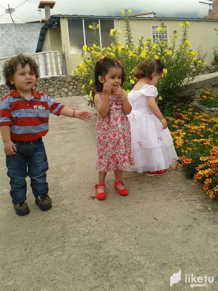 N25CDOSdnVB8sgXA_1748372742588.webp