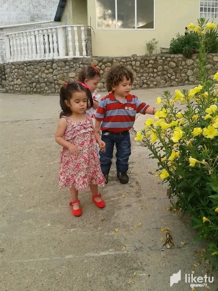 aWXKfpA1ilKgqlTW_1748372725197.webp
