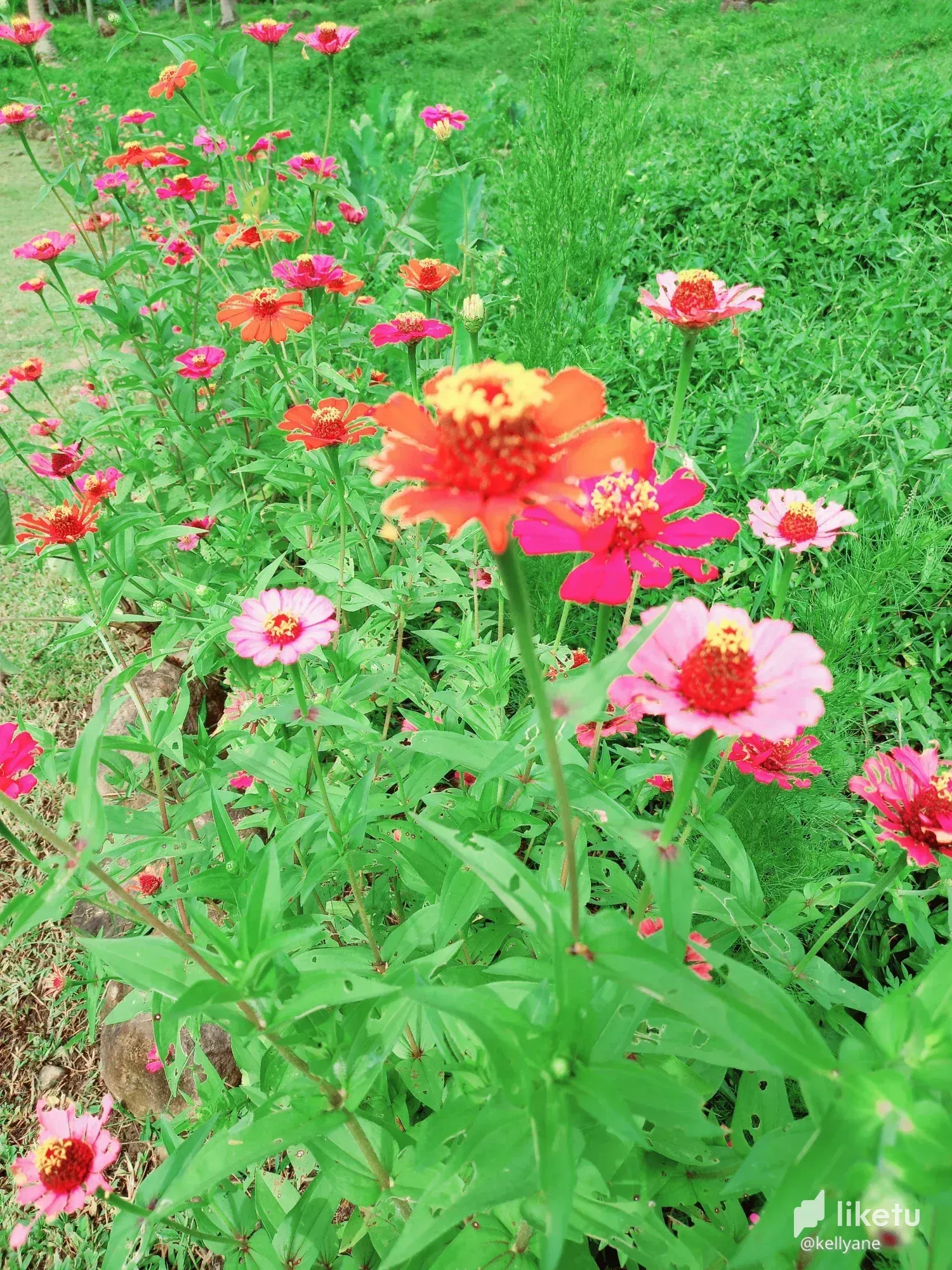 cl9zl5lvu029y15kc64otdco2_20220904_145013.webp