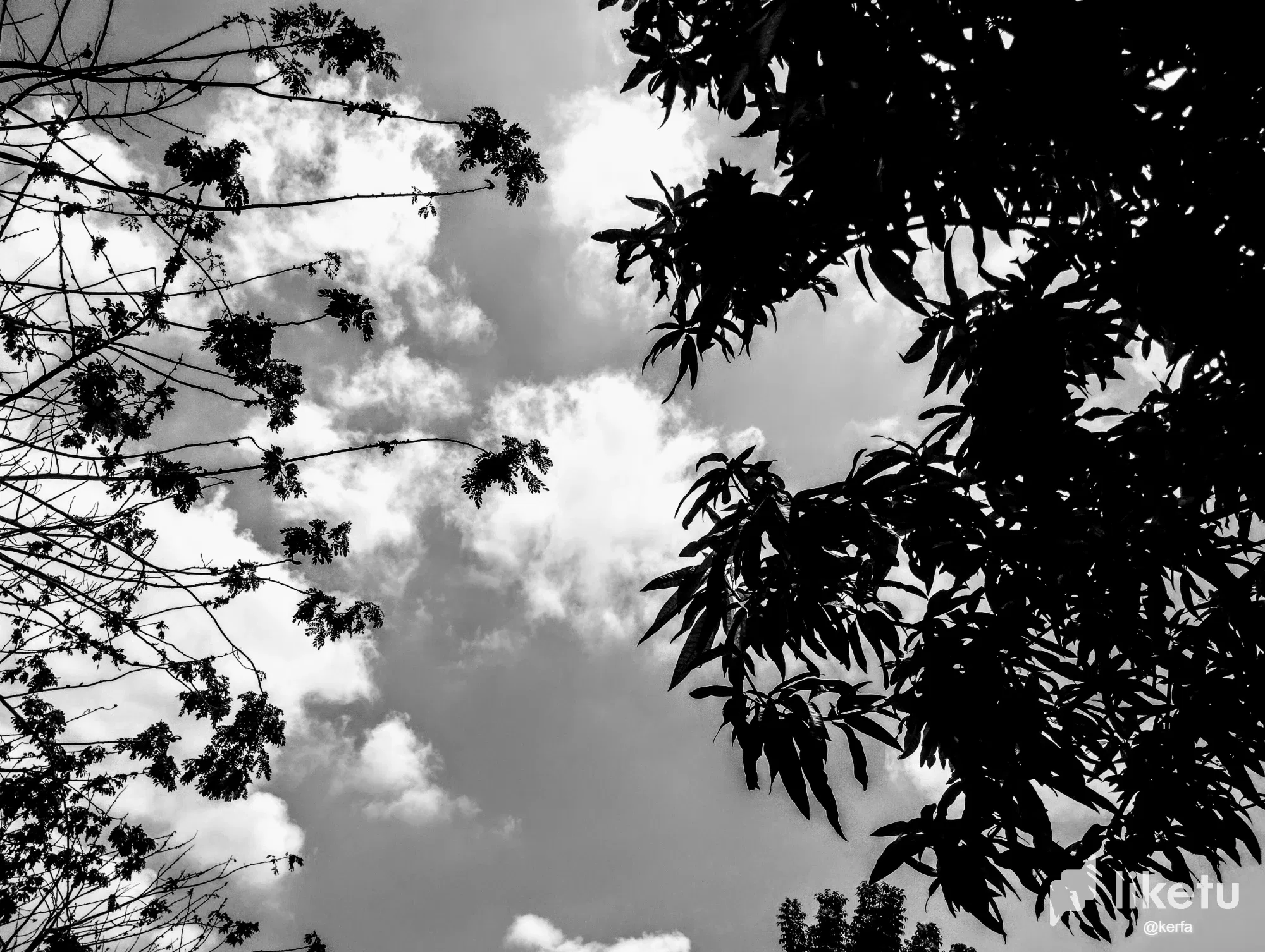 Gi3UWbxwiqrBvRqY_IMG_20230925_111956.webp/