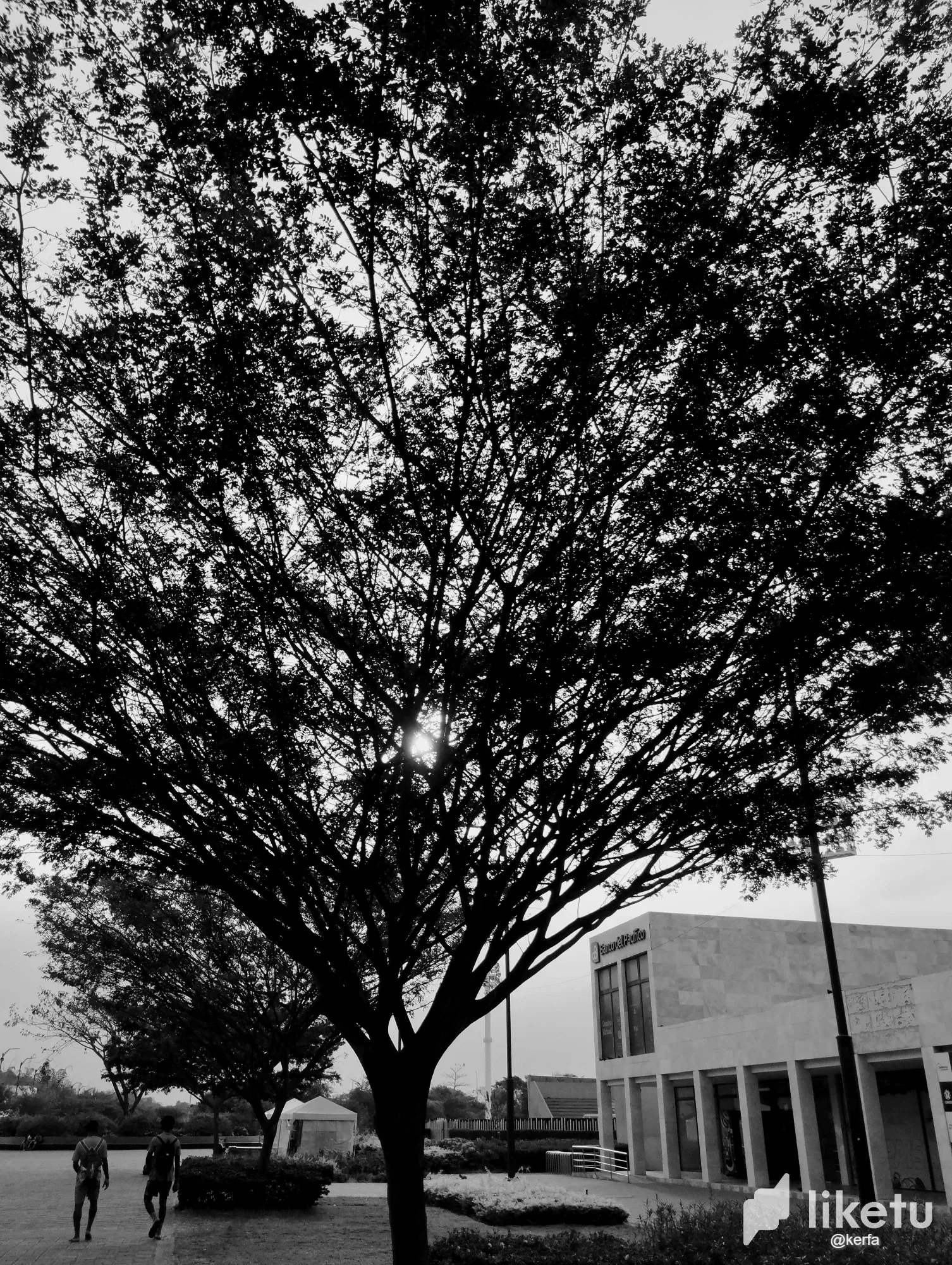 bc5IxDUk9y3qMXoO_IMG_20231004_165217.webp/