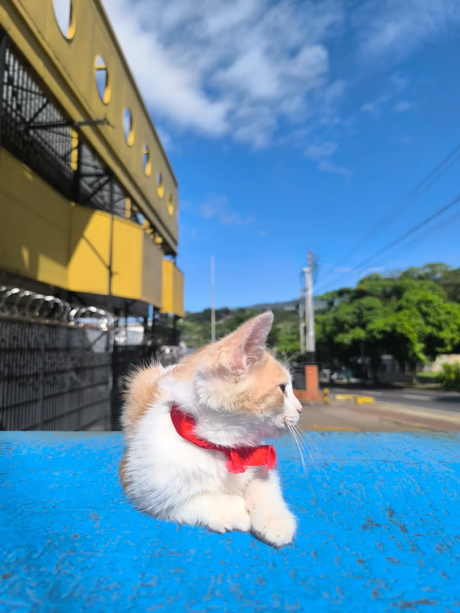 GWxQhhtD0Ml2Do13_1000912501.webp