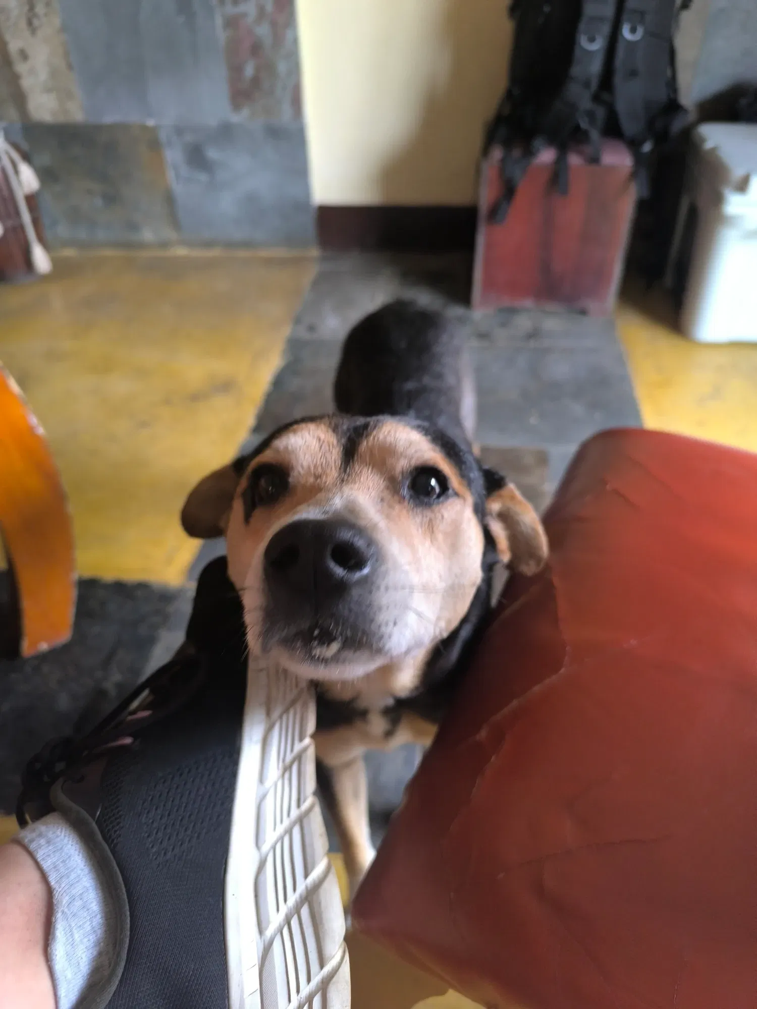 R1mlhgNr7Py18TWS_1000911351.webp