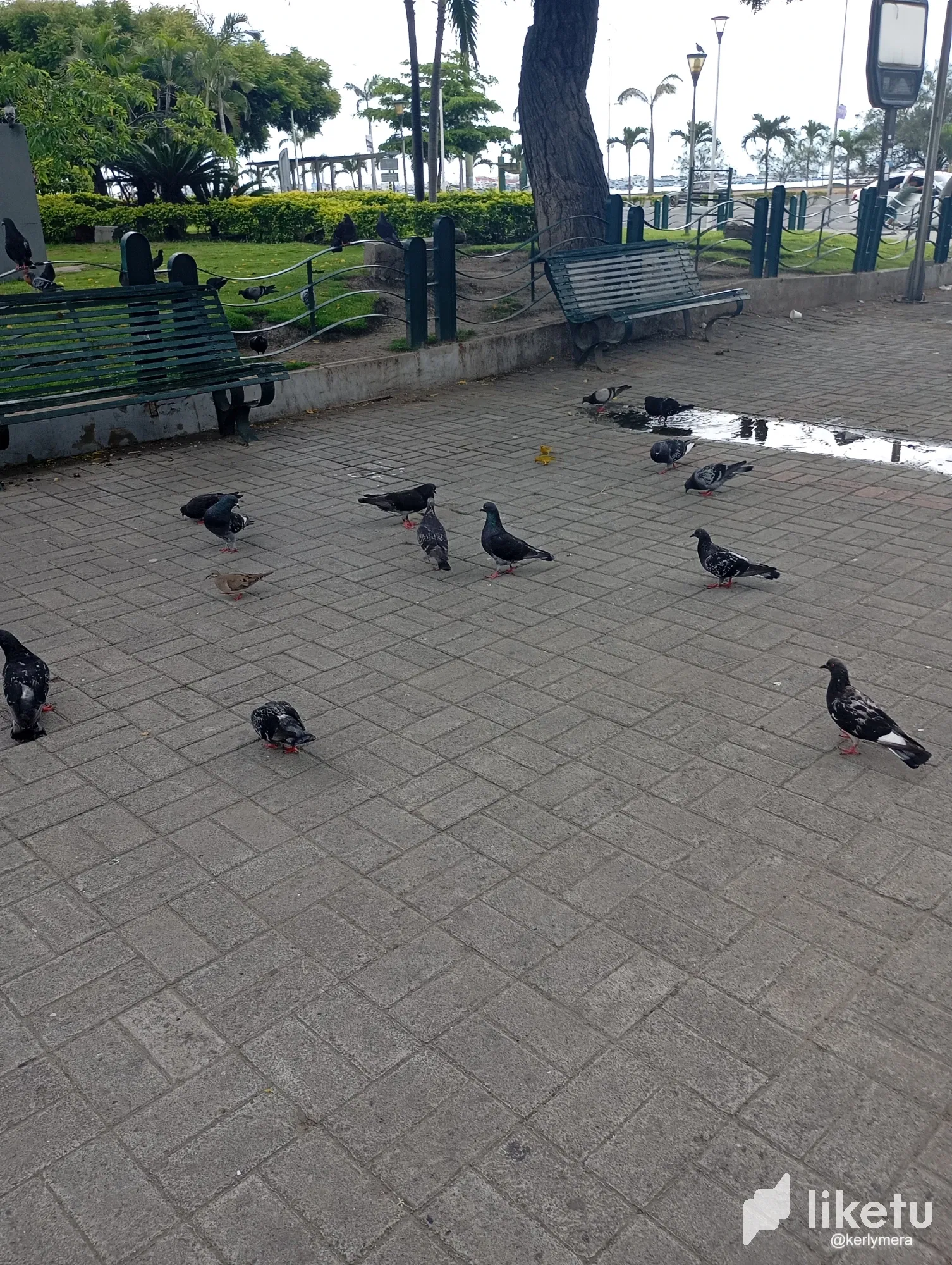giqb5O6AXZExI78l_IMG_20250302_144633.webp
