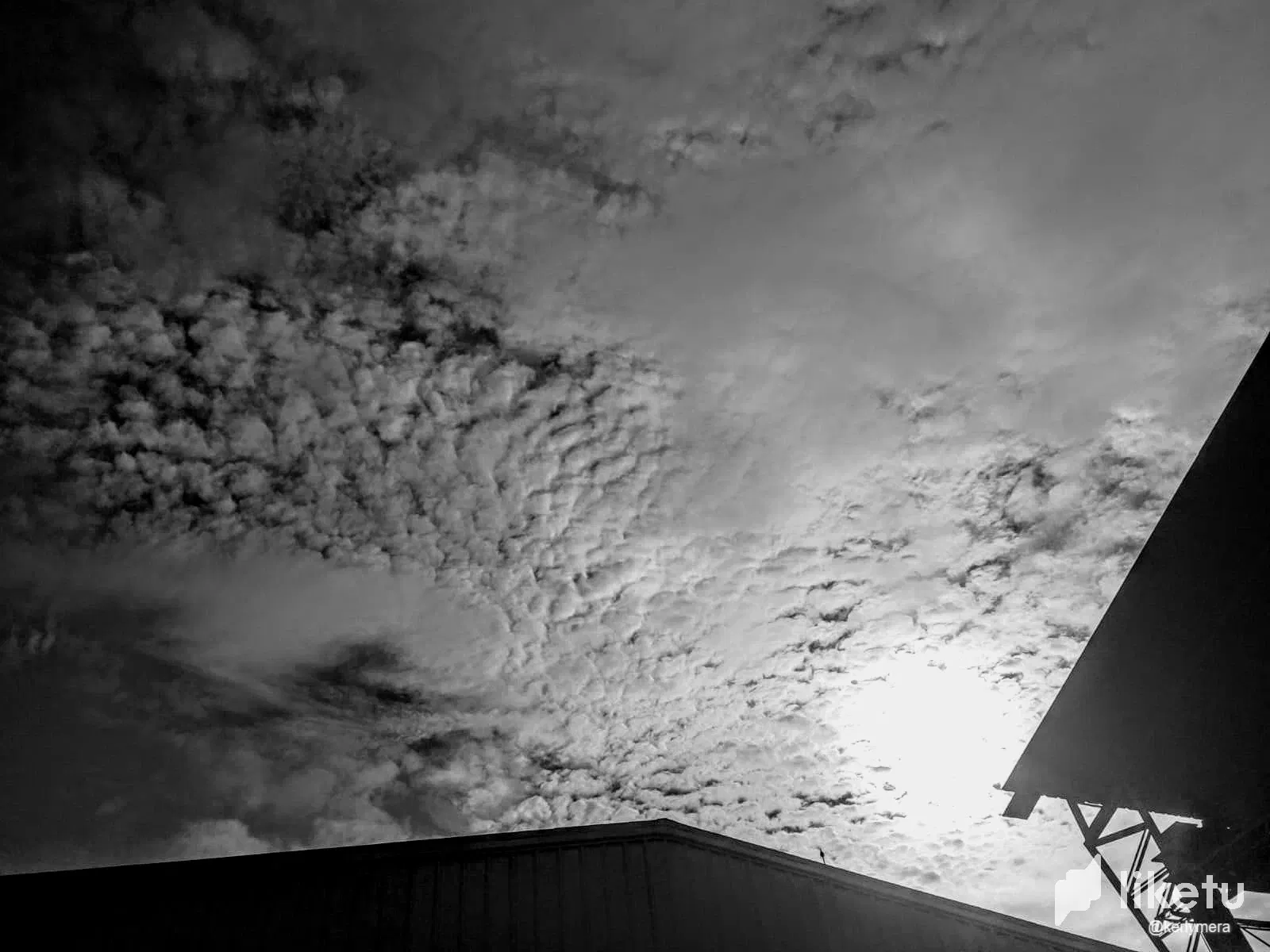 klnlhO6dFOdzChIY_IMG-20240112-WA0005.webp