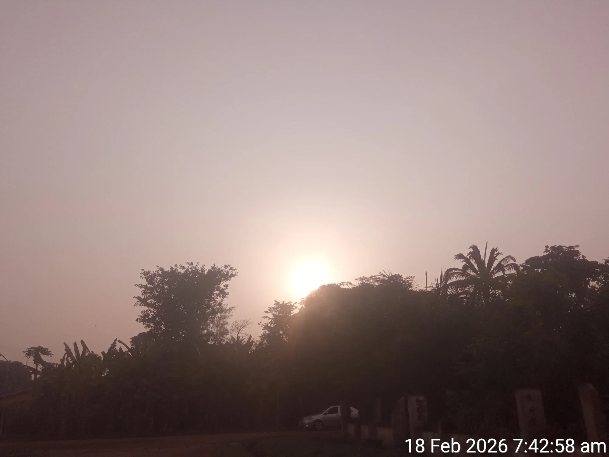 QHe4ct1eTDjuFOEe_TimePhoto_20260218_074258.webp