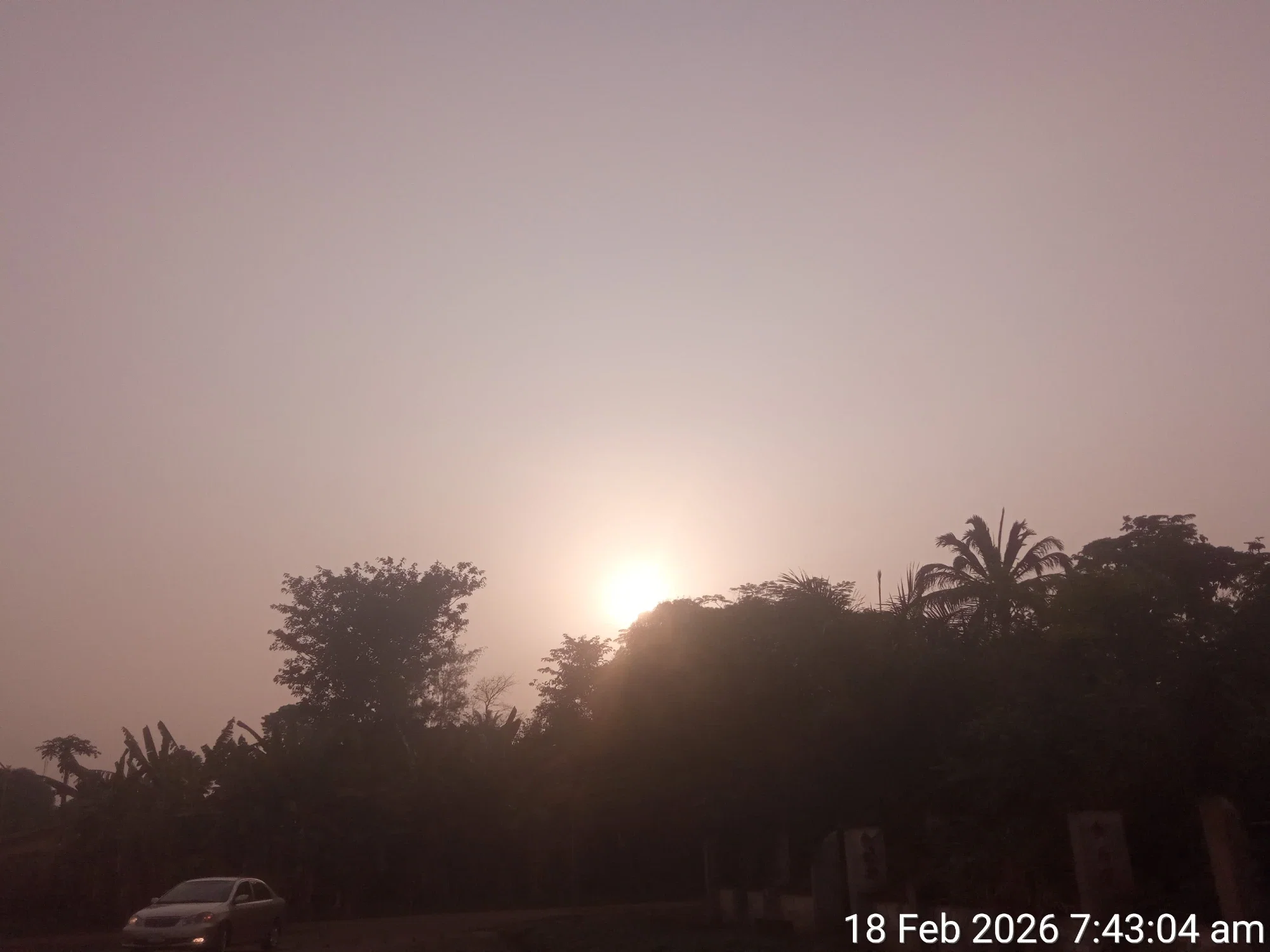 oJEG2wGpmu9B4Ml1_TimePhoto_20260218_074304.webp