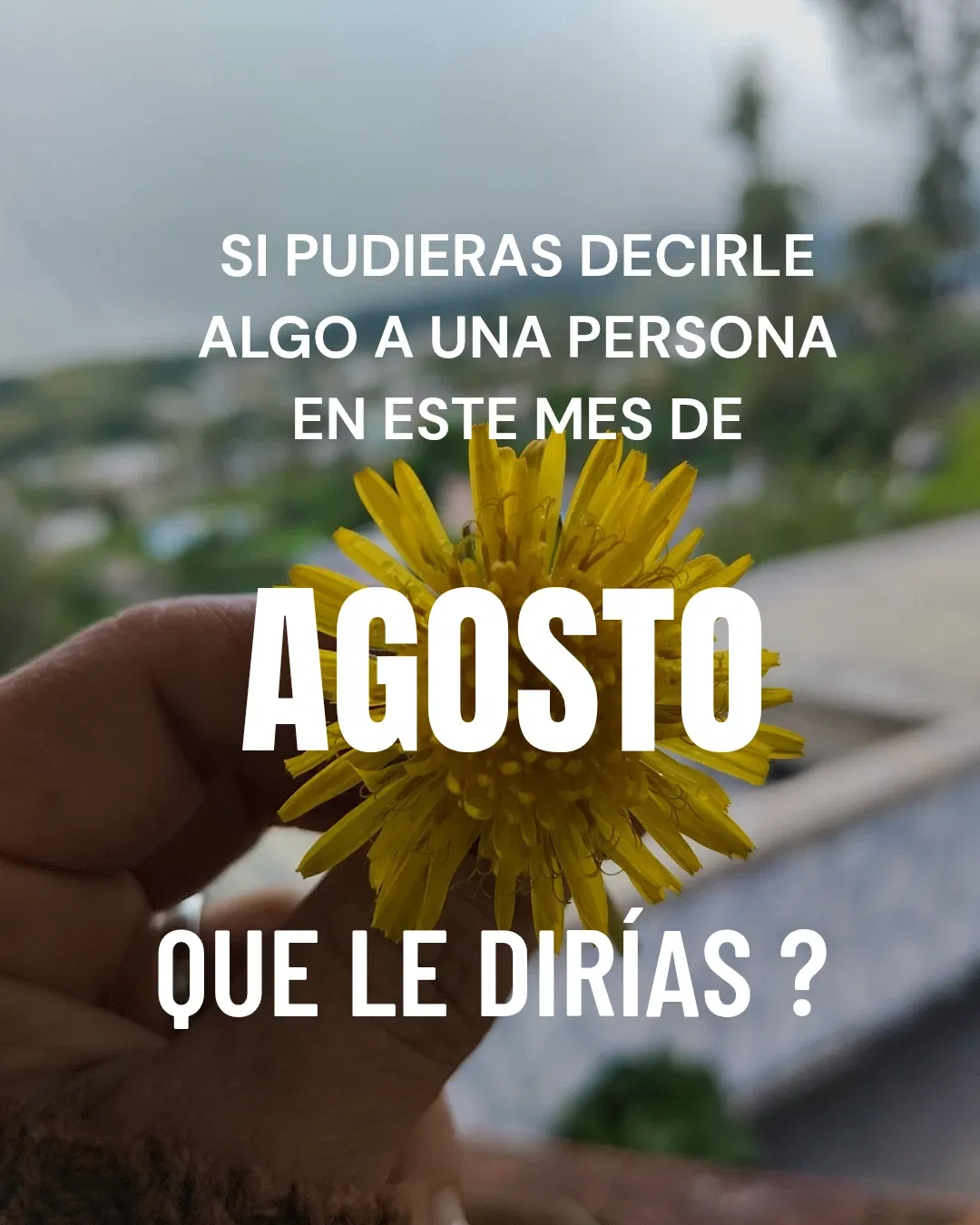 Agosto. Y yo les digo que...
