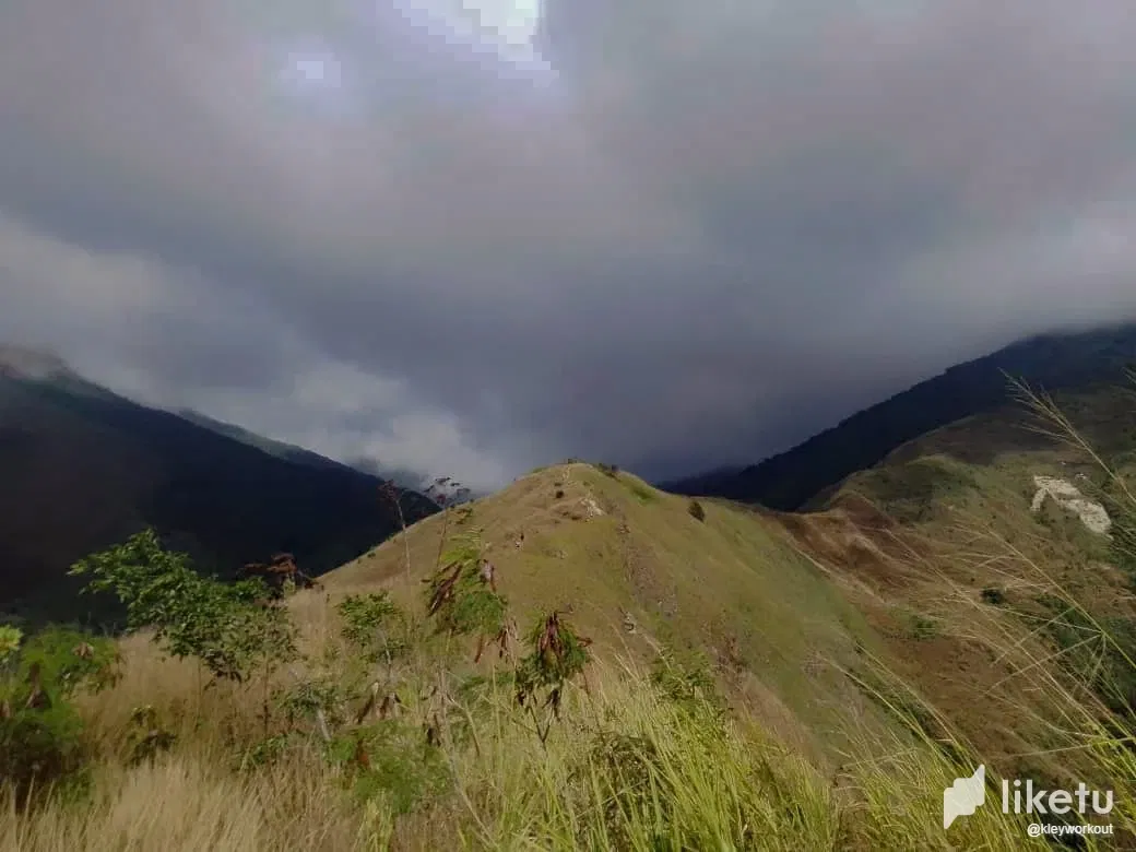 clrs1736g00053isz3mls310o_WhatsApp_Image_2024-01-24_at_12.45.30_PM_1.webp