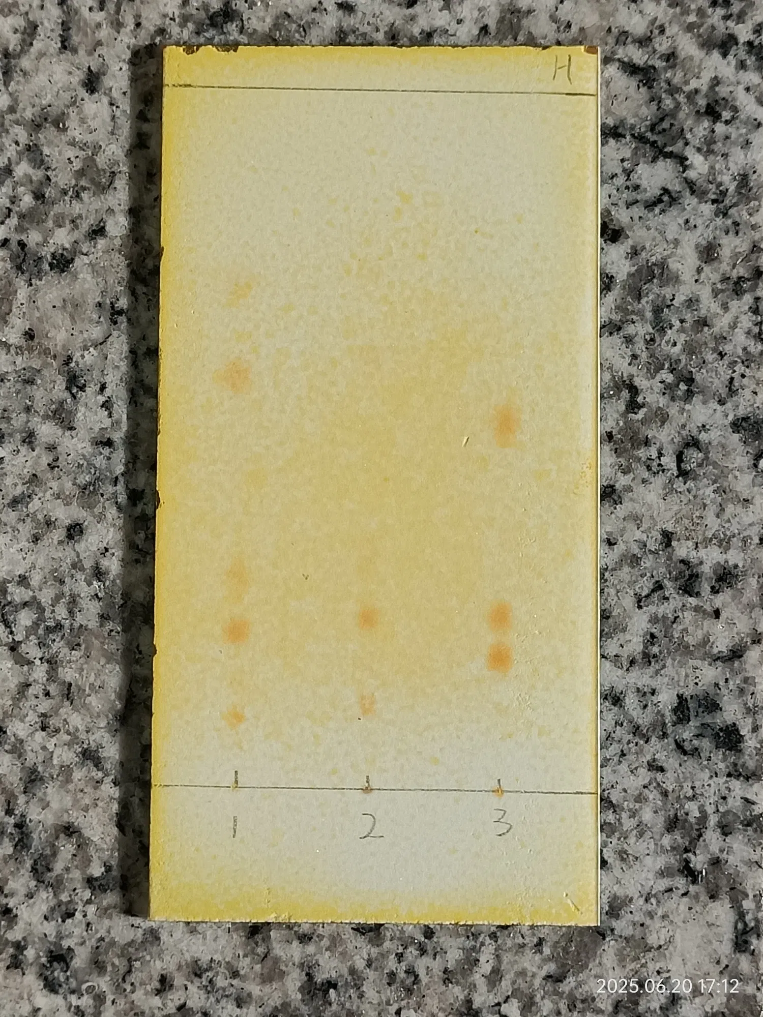 "你今天相当于什么都没干啊"