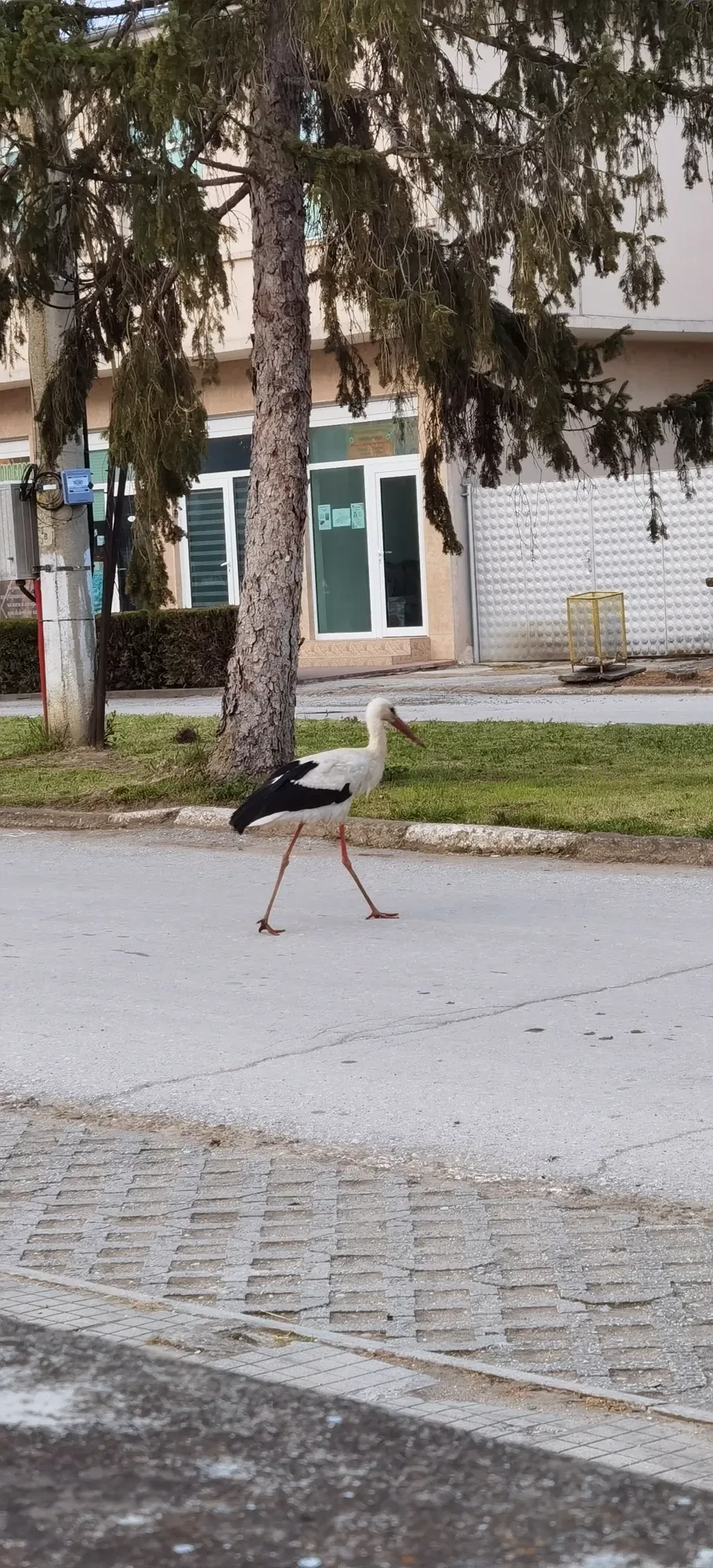 spttXCrwbLRbTs9o_IMG_20230409_192749.webp