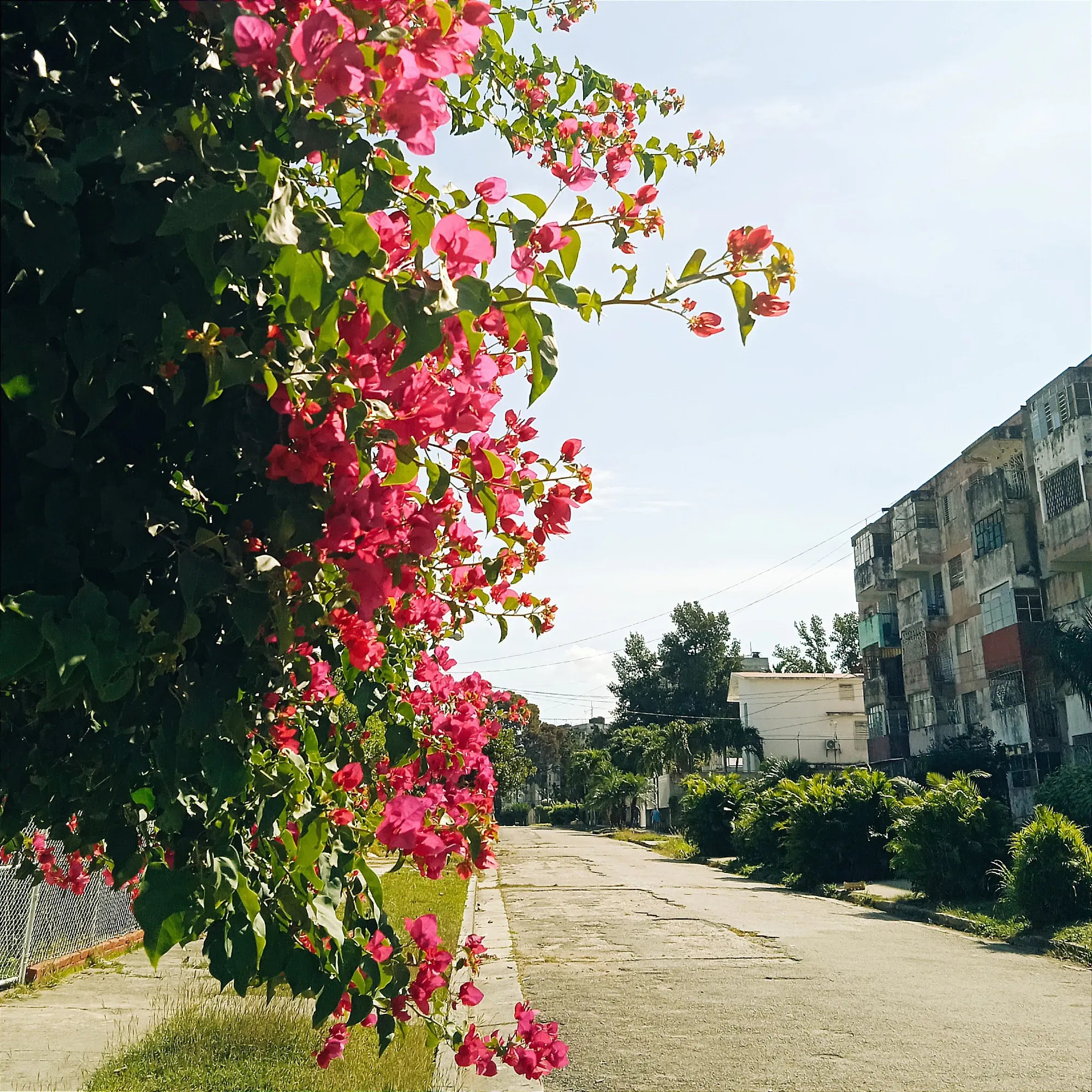 VJzhXGiG4xoewSRu_IMG_20250218_164303.webp