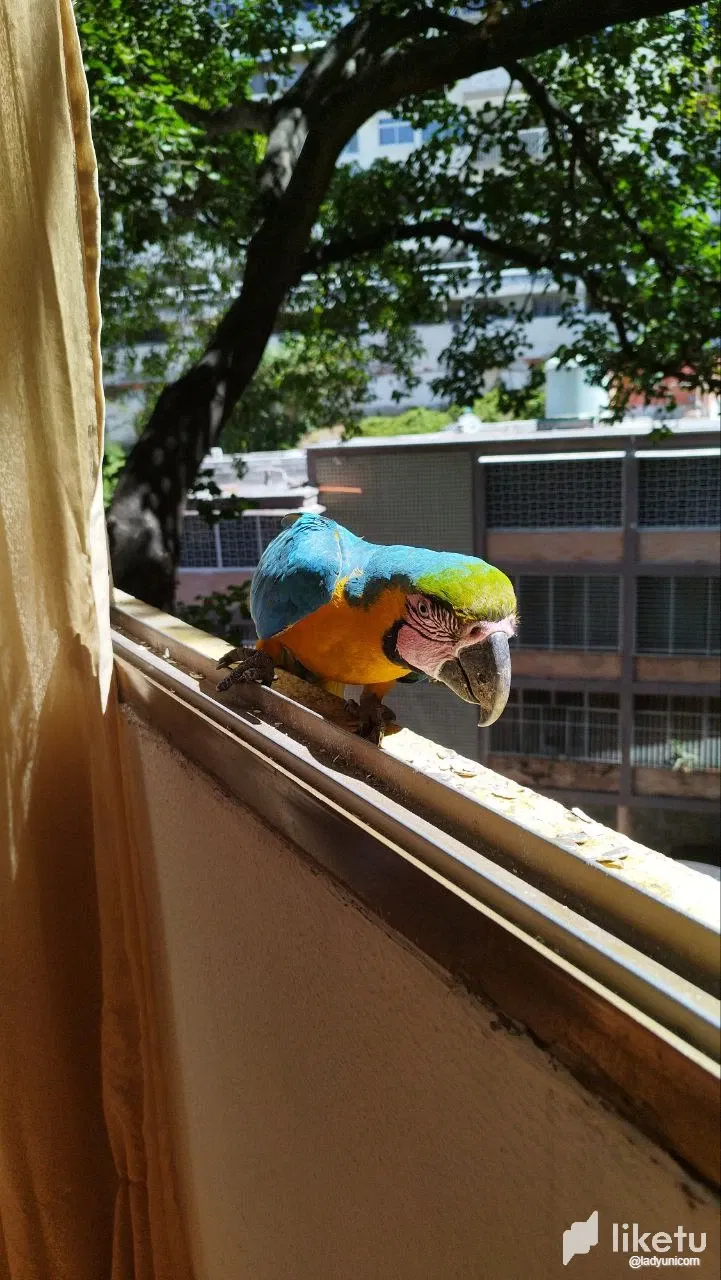 9pR3Nt36AZ3sOL2V_photo_2025-02-20_13-11-21_2.webp