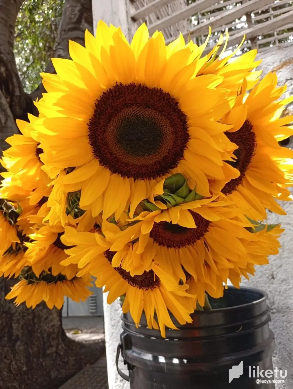 HMfiNYcjtZnTywWP_photo_2025-02-24_18-58-40_3.webp