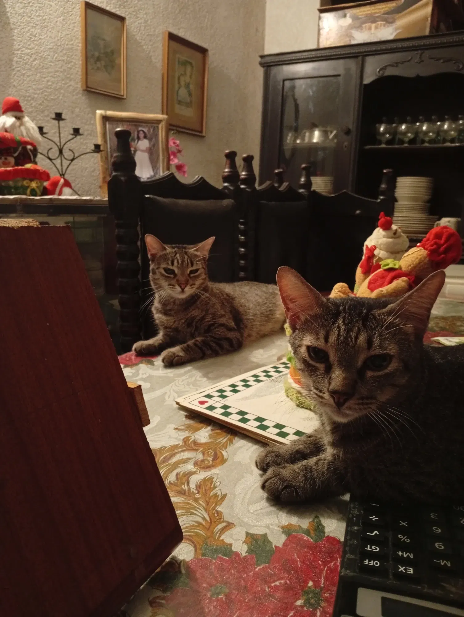 udR3CFEwbm1L0N8b_1000038842.webp