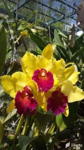 cld0umava006g24sz9oyrfzgs_1473.webp
