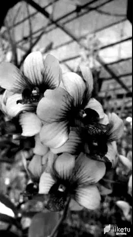 cld0ume1o006p7msz3g97gzdj_1479bw.webp