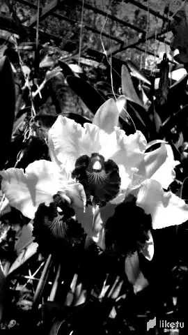 cld0ummjv005i4tsz6brr09kd_1473bw.webp
