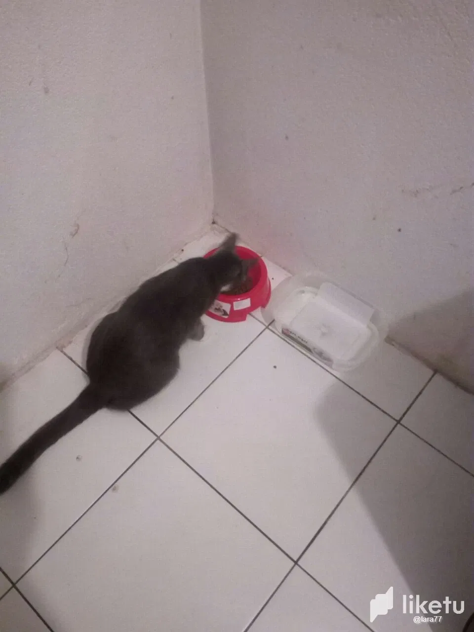 go9mkaK7aqTOhOfk_lara5.webp