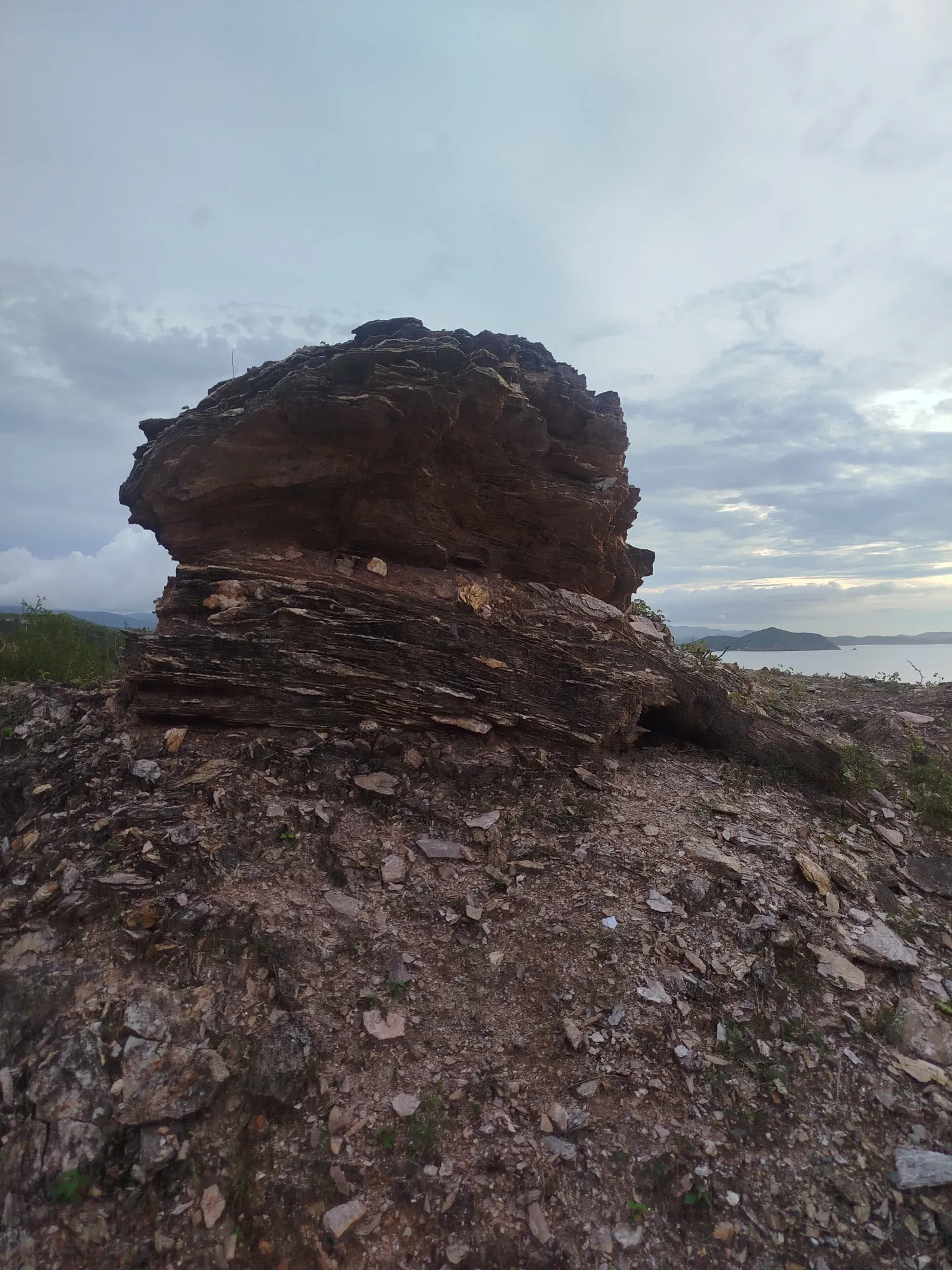 SVkFELGe6nTLG62o_1000661249.webp