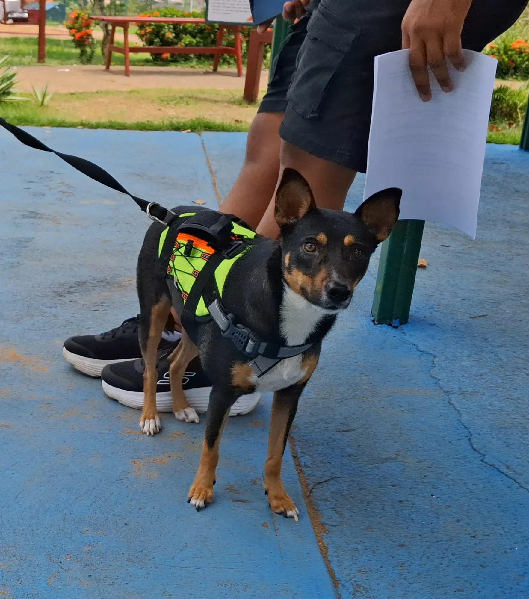 C3CBchMjY9rv6ZYB_1003241786.webp