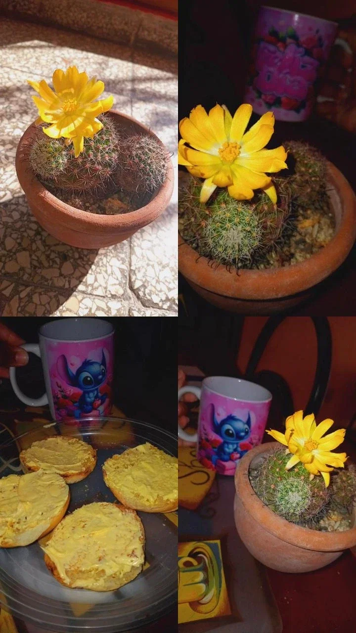 cWrGDhwplJr1GD8g_1000380310.webp