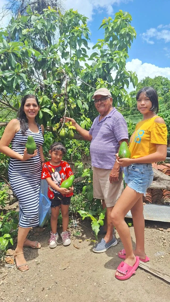 Los aguacates de mi abuelo [Spa/Eng]