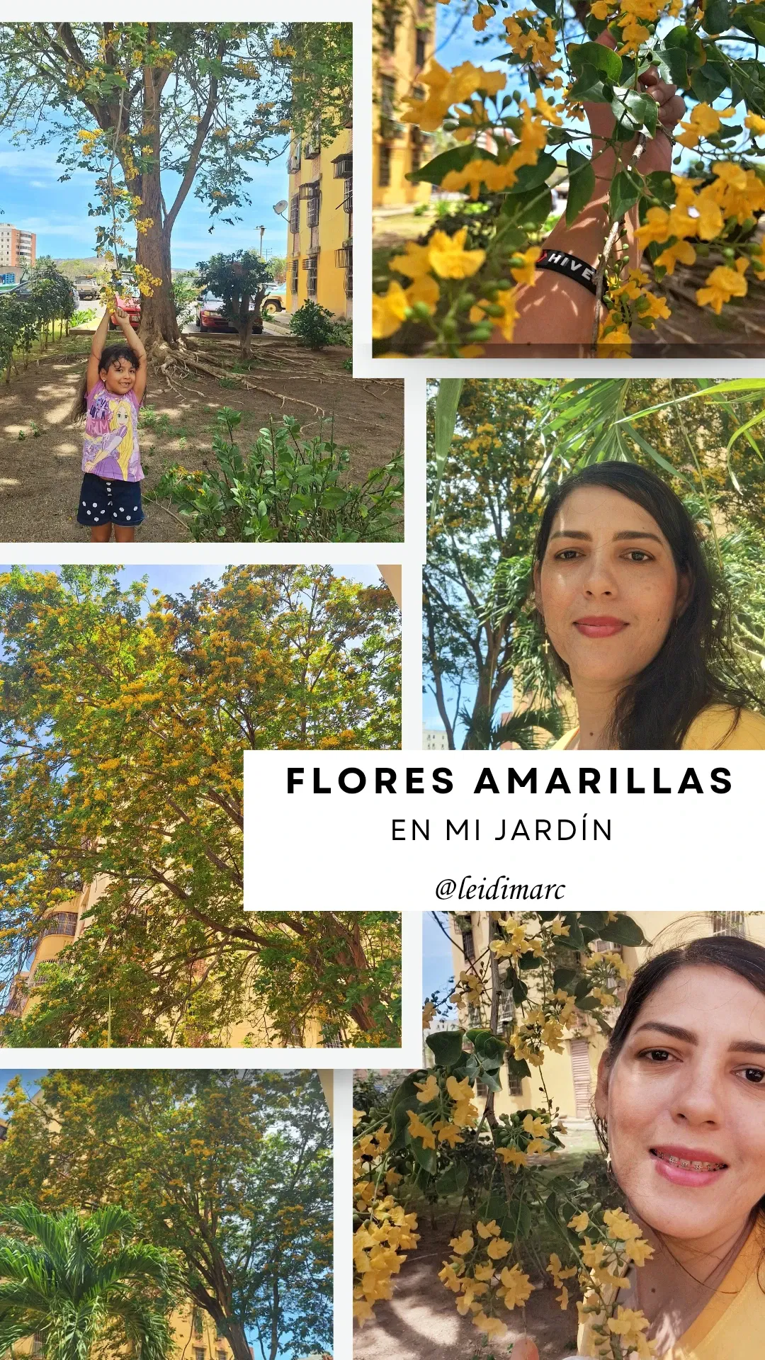 CyMNyUUVg0hxjp4L_Neutral_Autumn_Collage_Moodboard_Instagram_Story_20250427_194519_0000.webp/