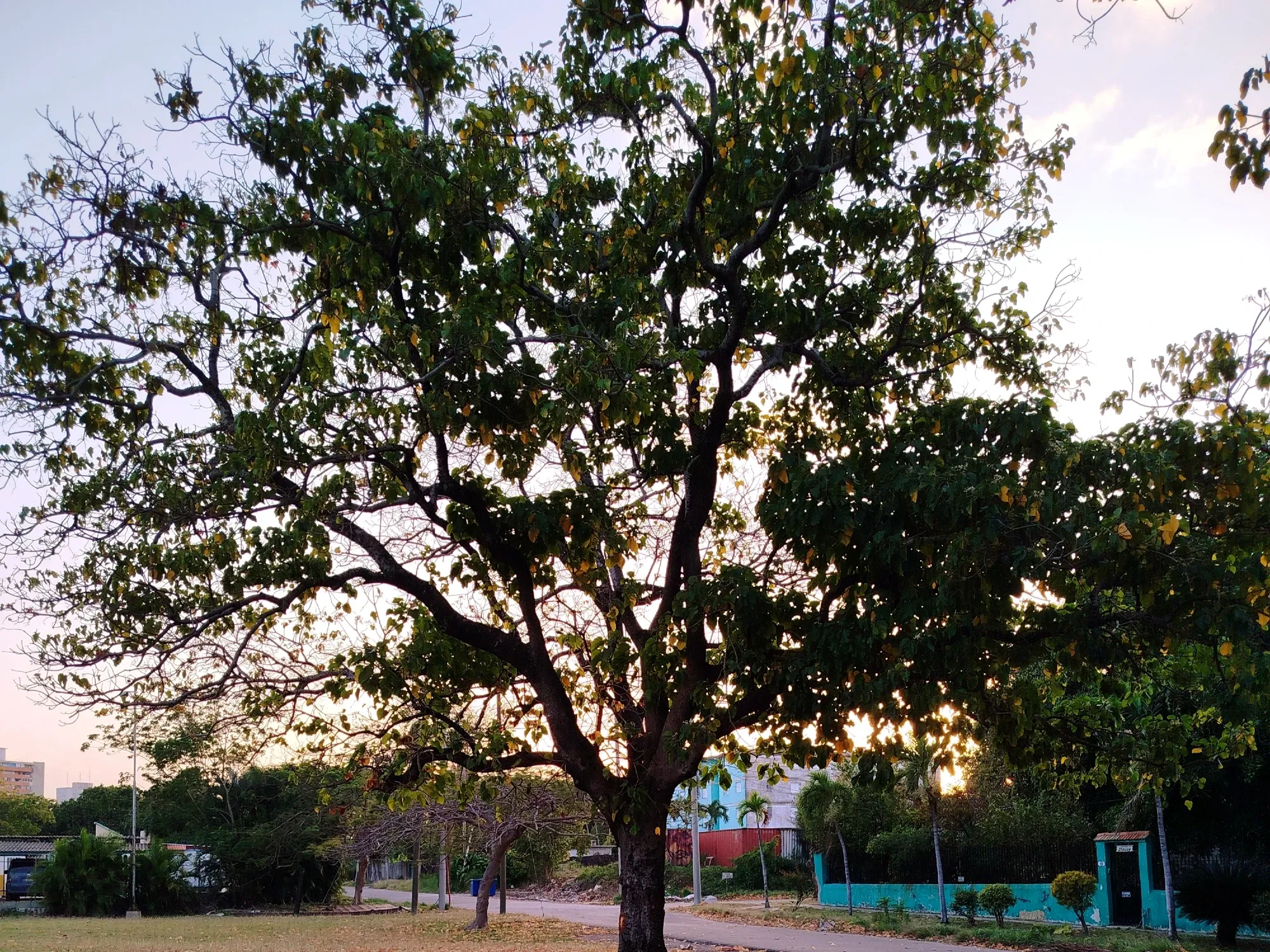 YJBgAnNTzmwnUtkf_IMG_20250605_004258.webp