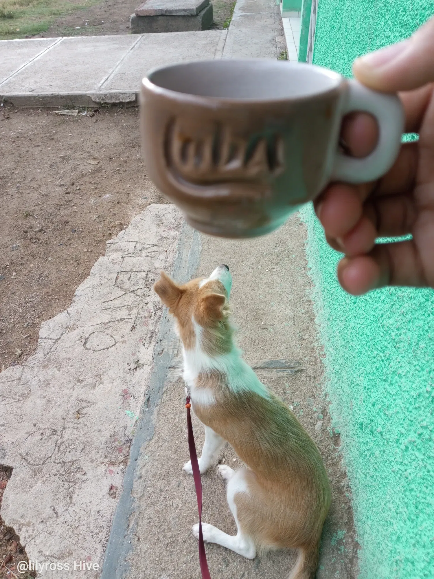 2DFE7s3n1p50p3fr_1000126740.webp