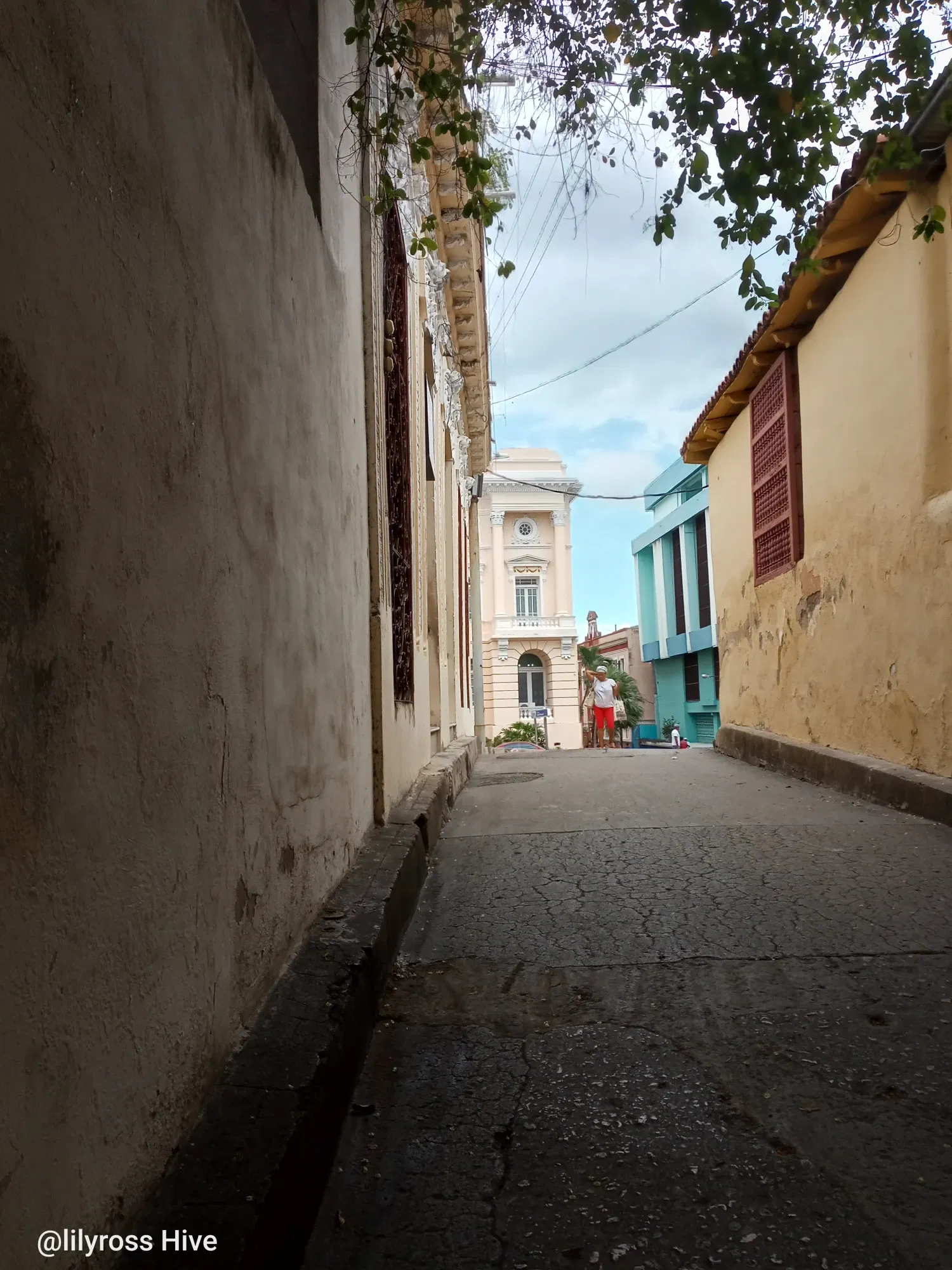 7ZEBId7XzfeUiInX_1000127224.webp