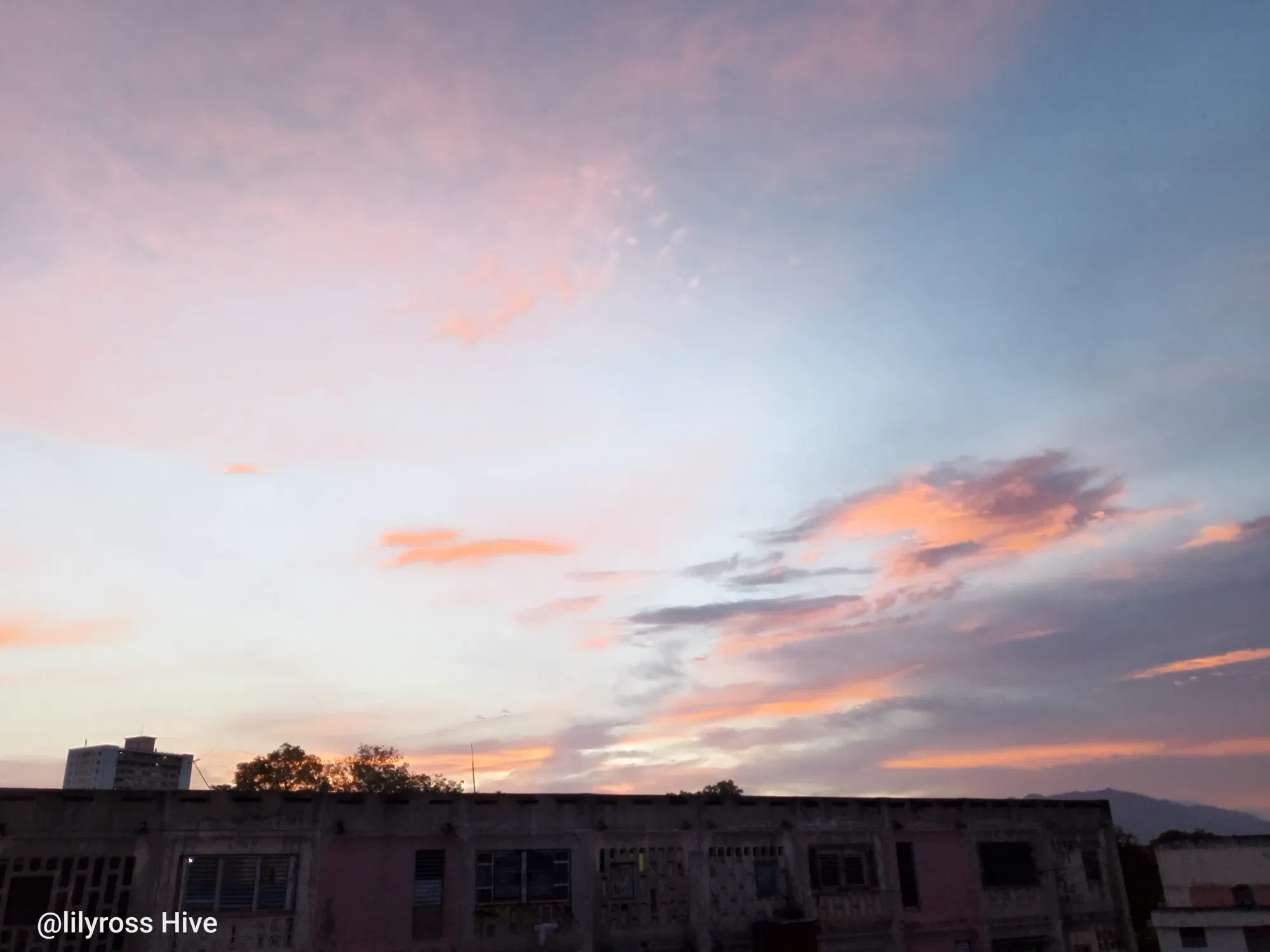 lhD8EbybpfE2rdVt_1000071793.webp